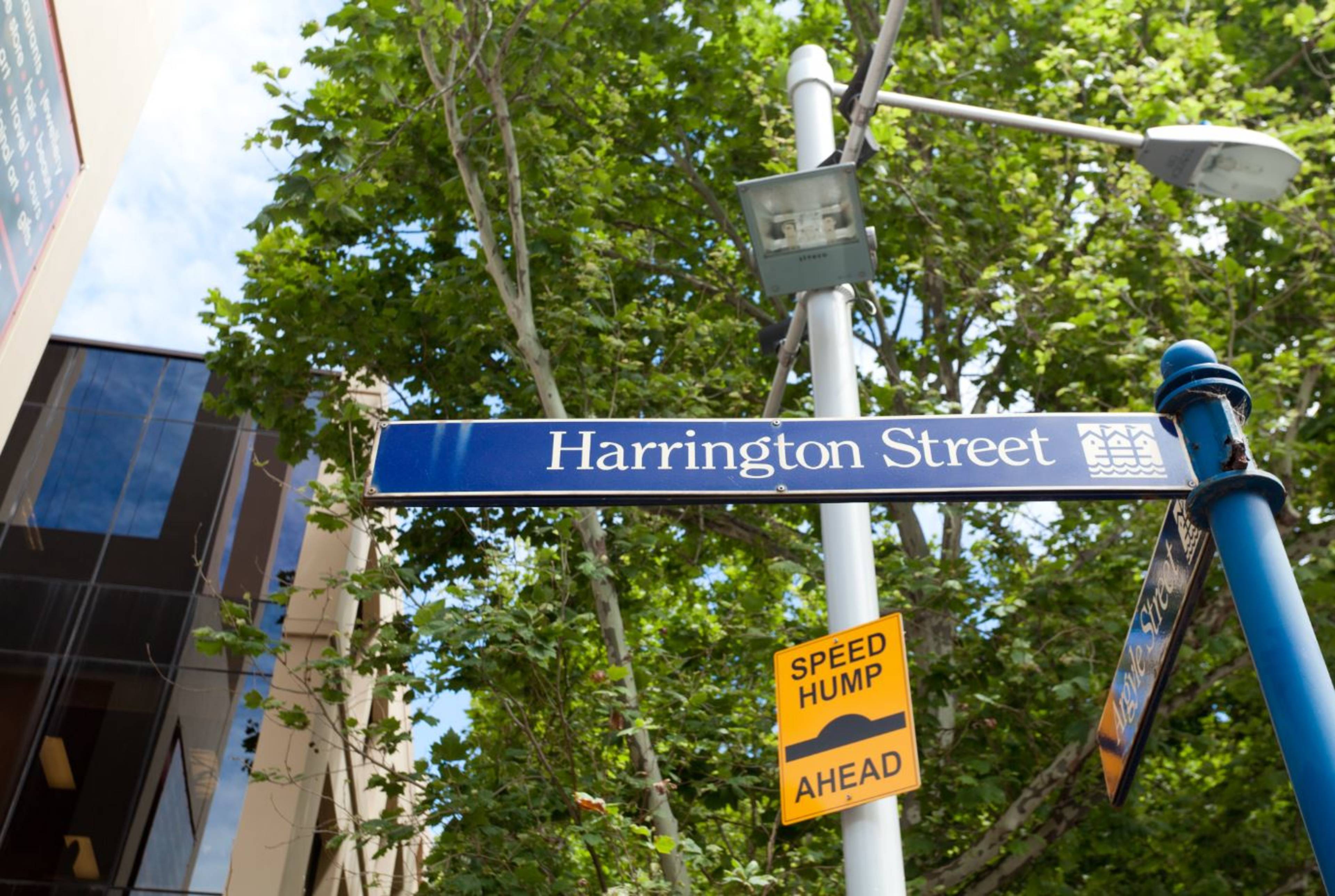 55 Harrington Street