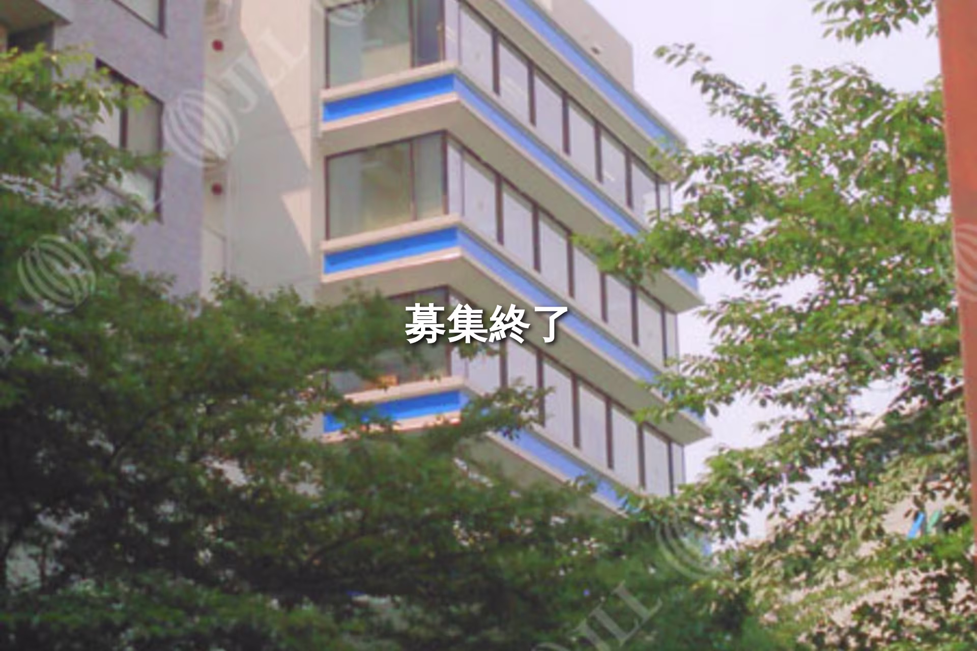 新井2-1-19