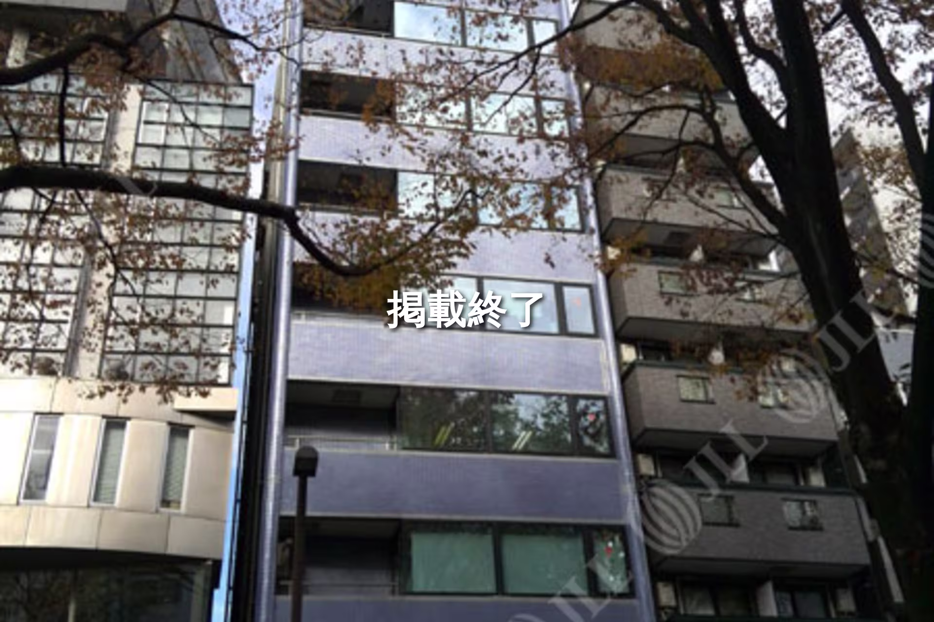 山吹町337