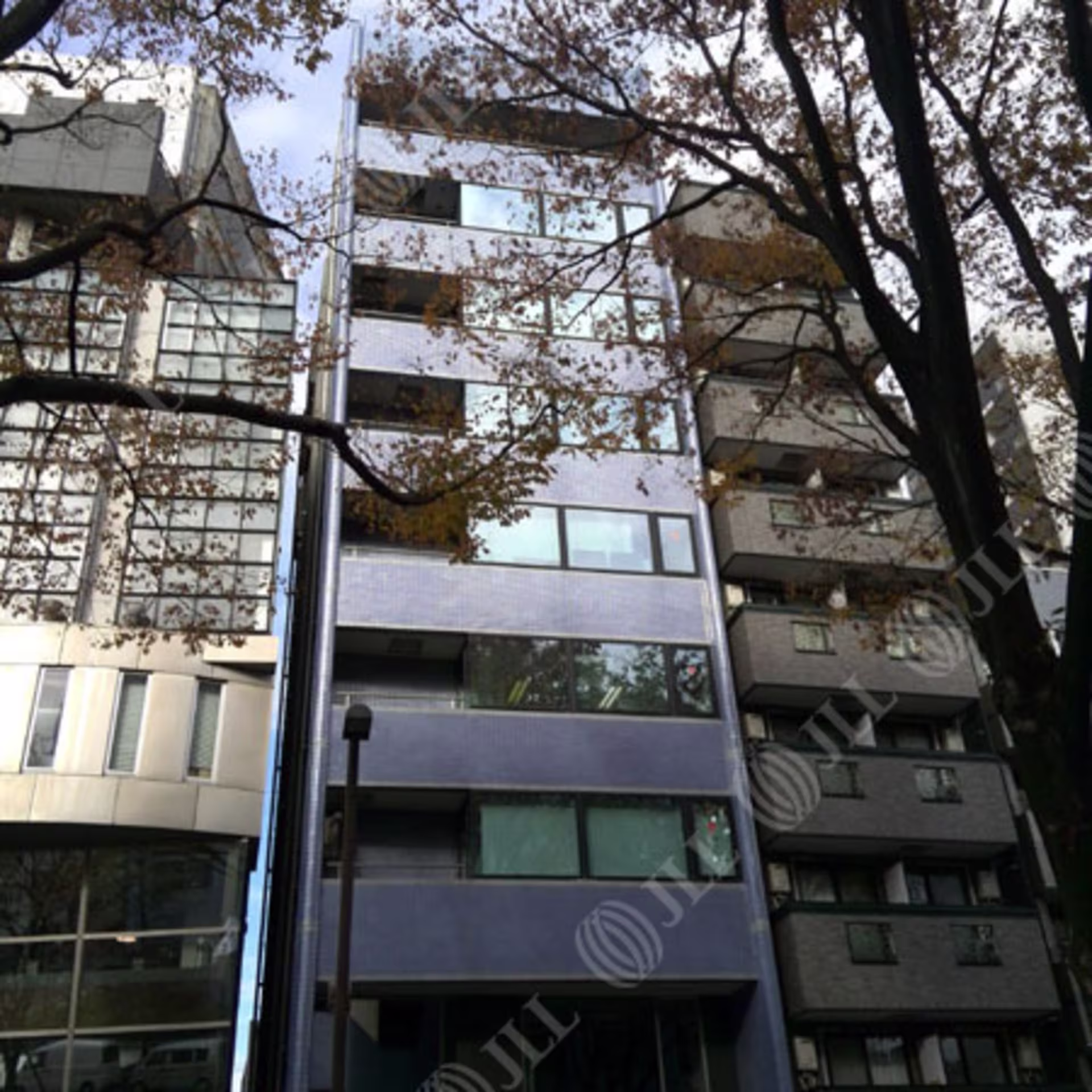 山吹町337