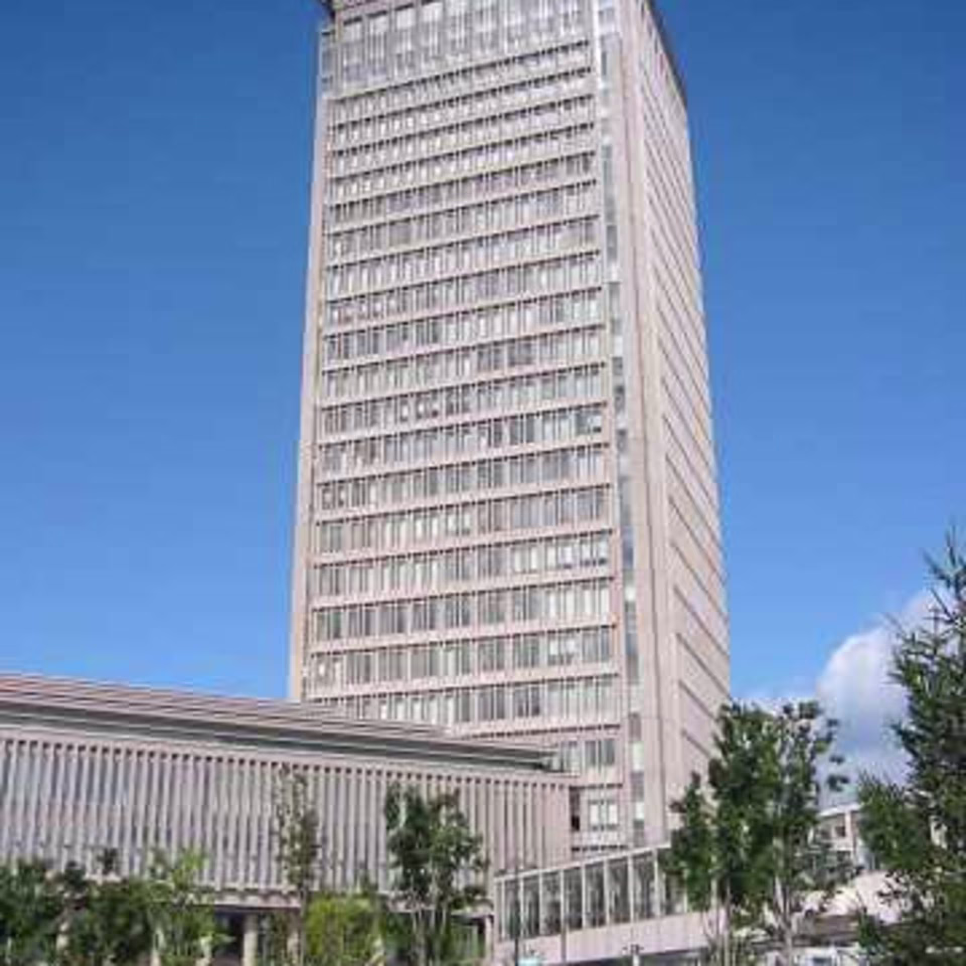 城南町1-1-1