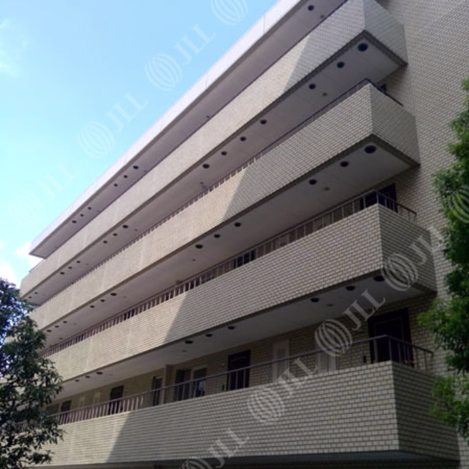 代官山町2-6