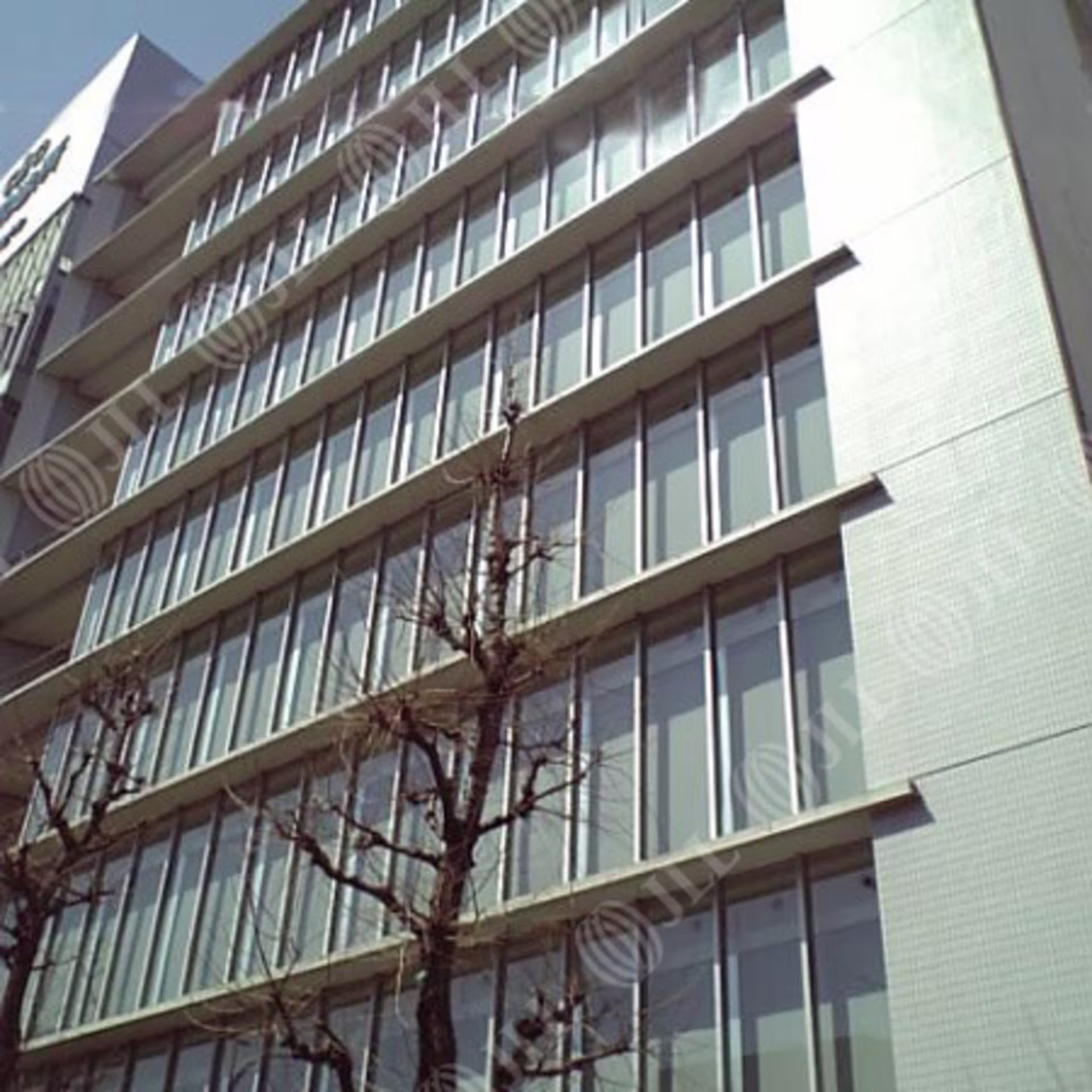 神泉町9-1