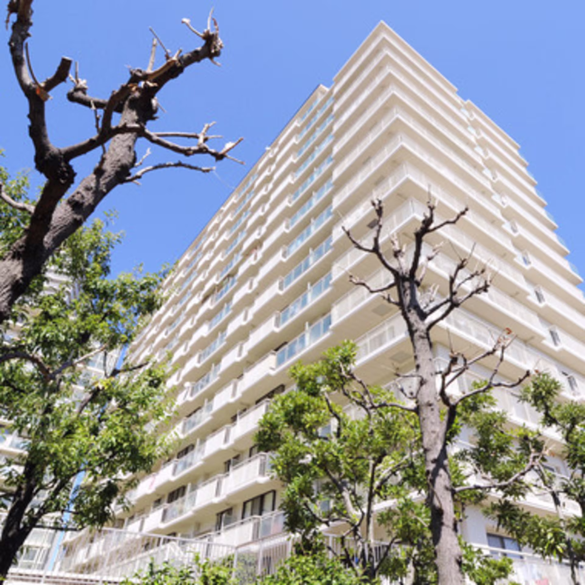 小倉1-1