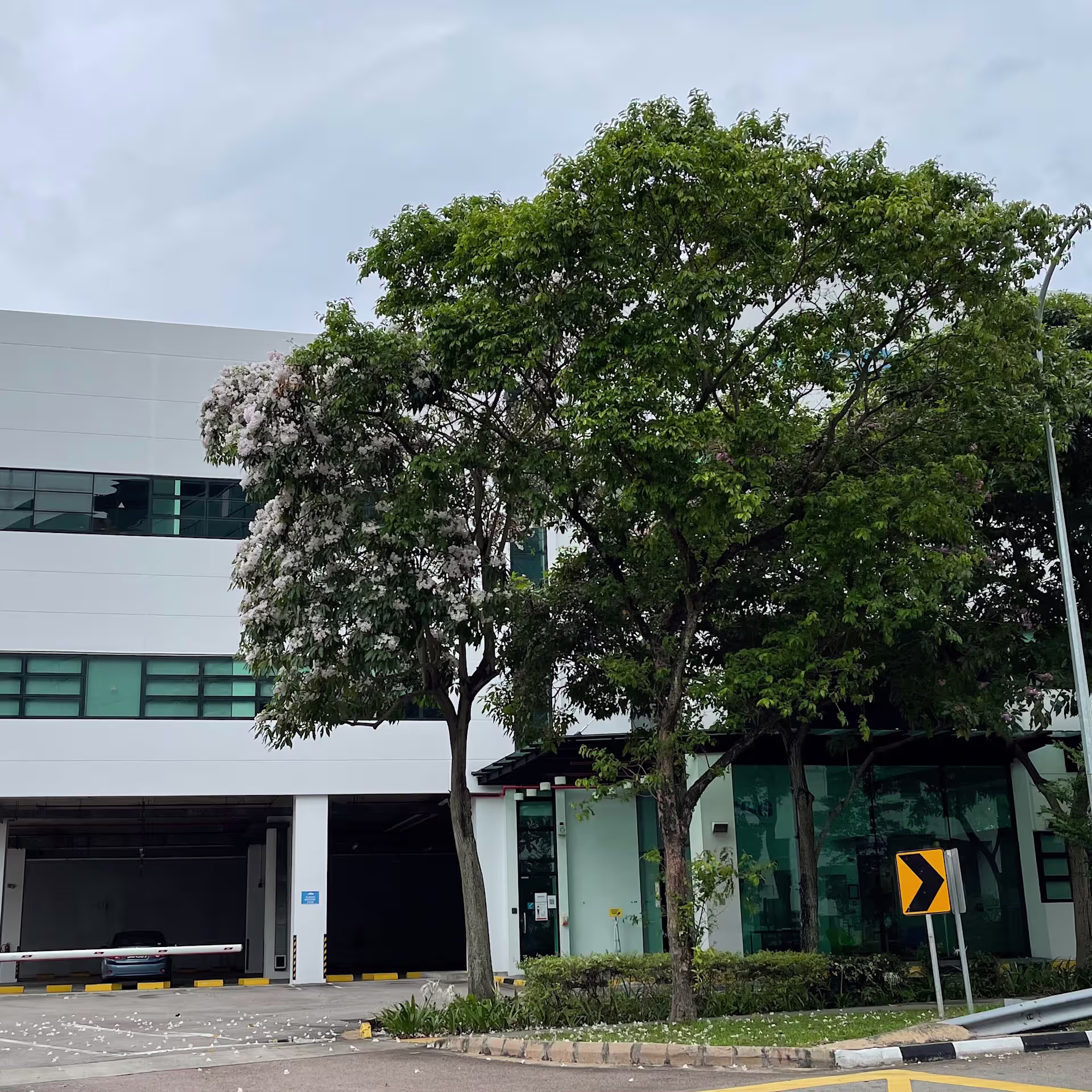 9 Serangoon North Avenue 5