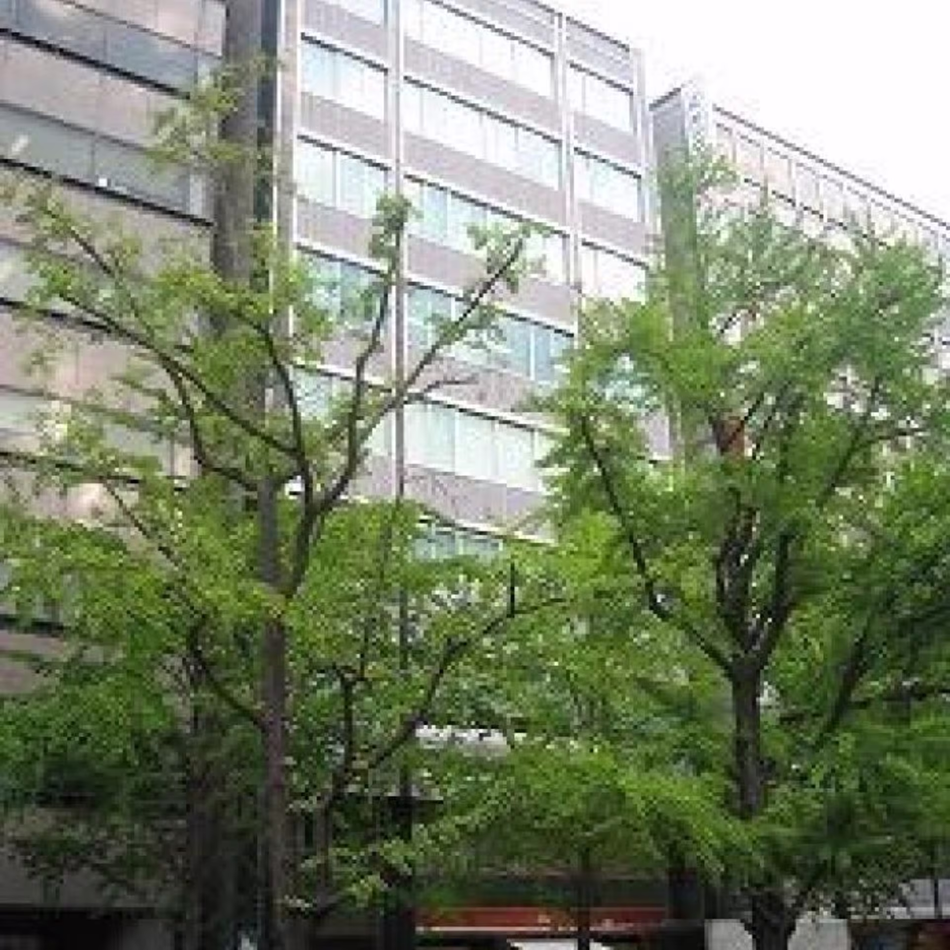 備後町3-6-2