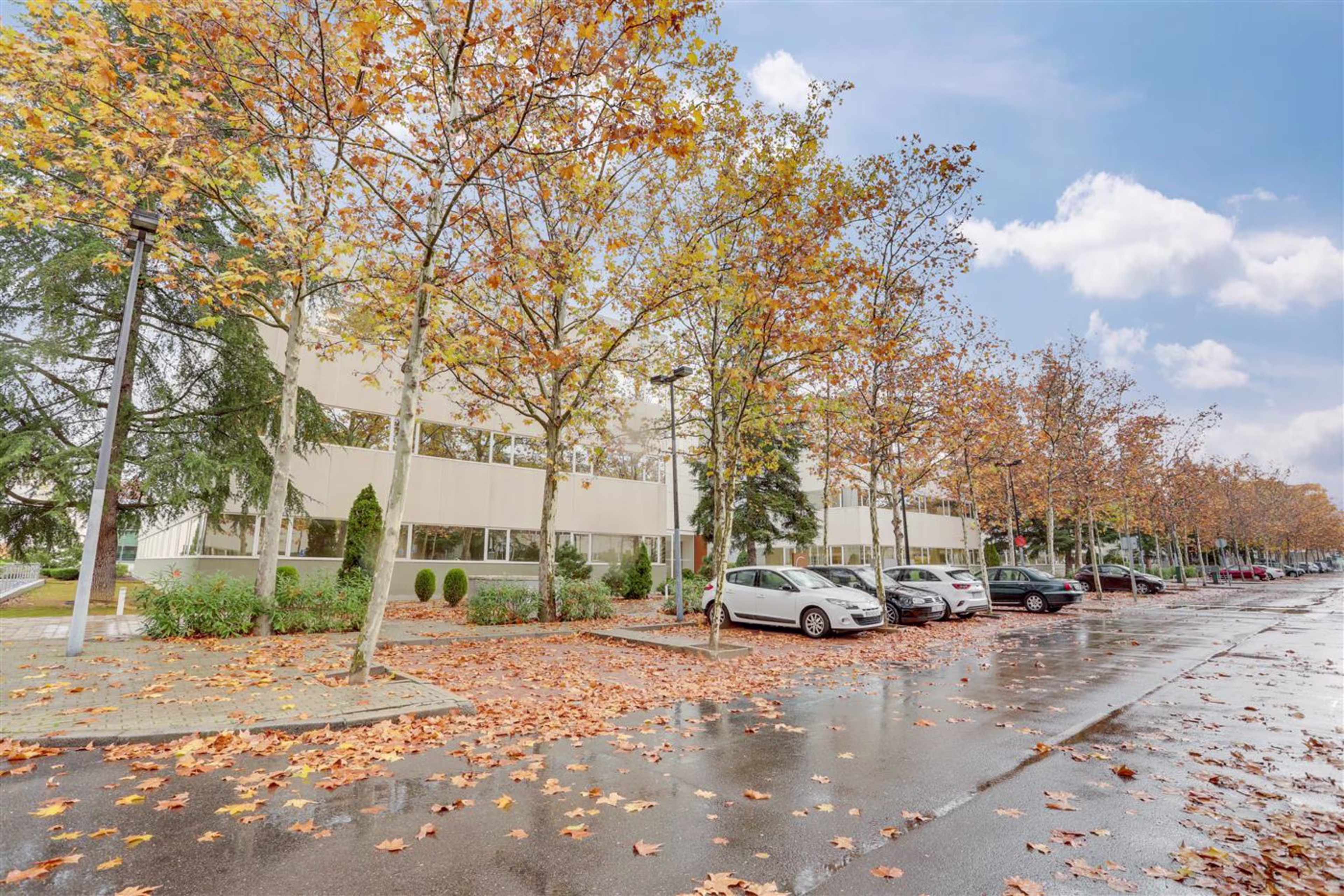 MaSID Headquarters- Edificio 10
