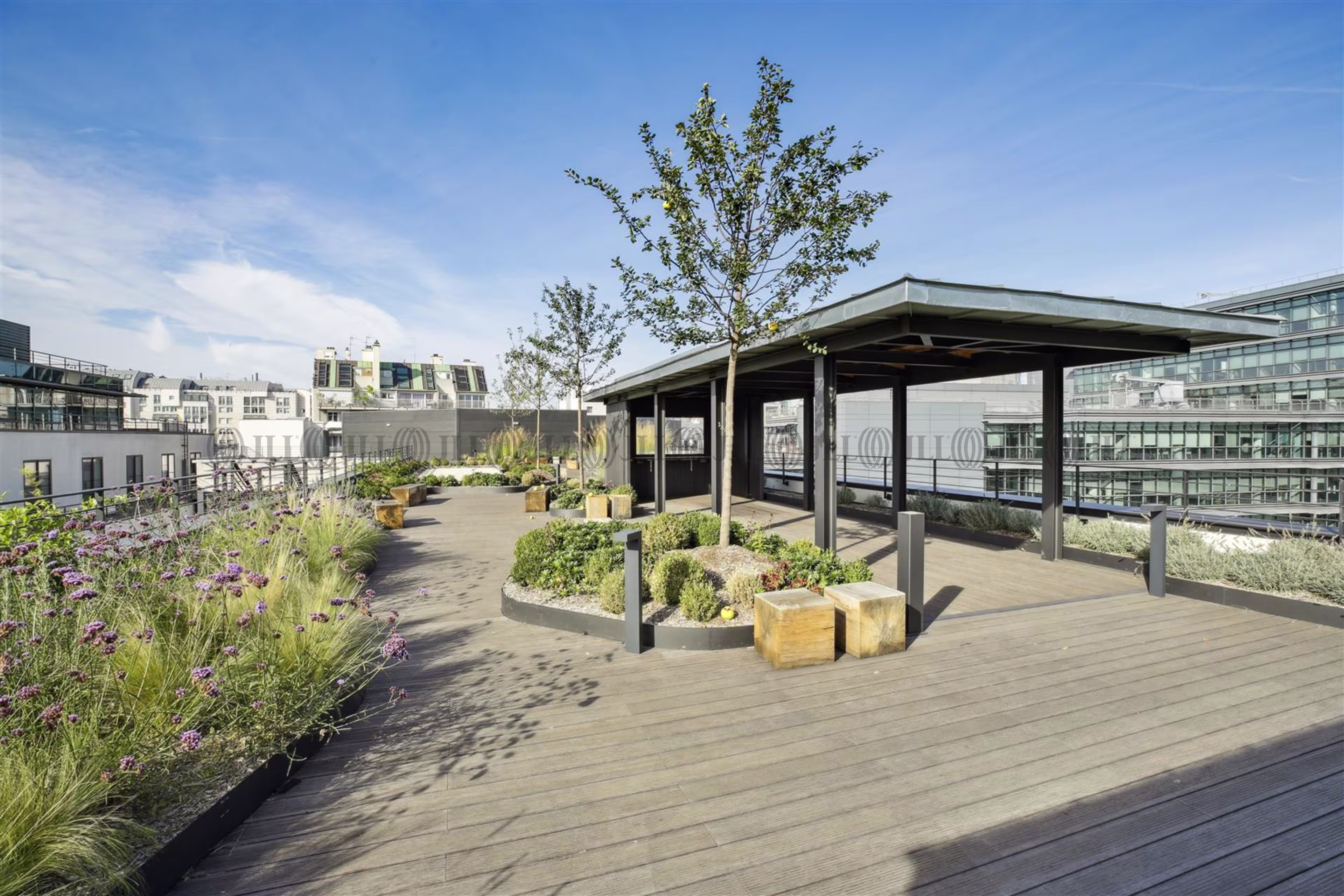 HIGH LINE