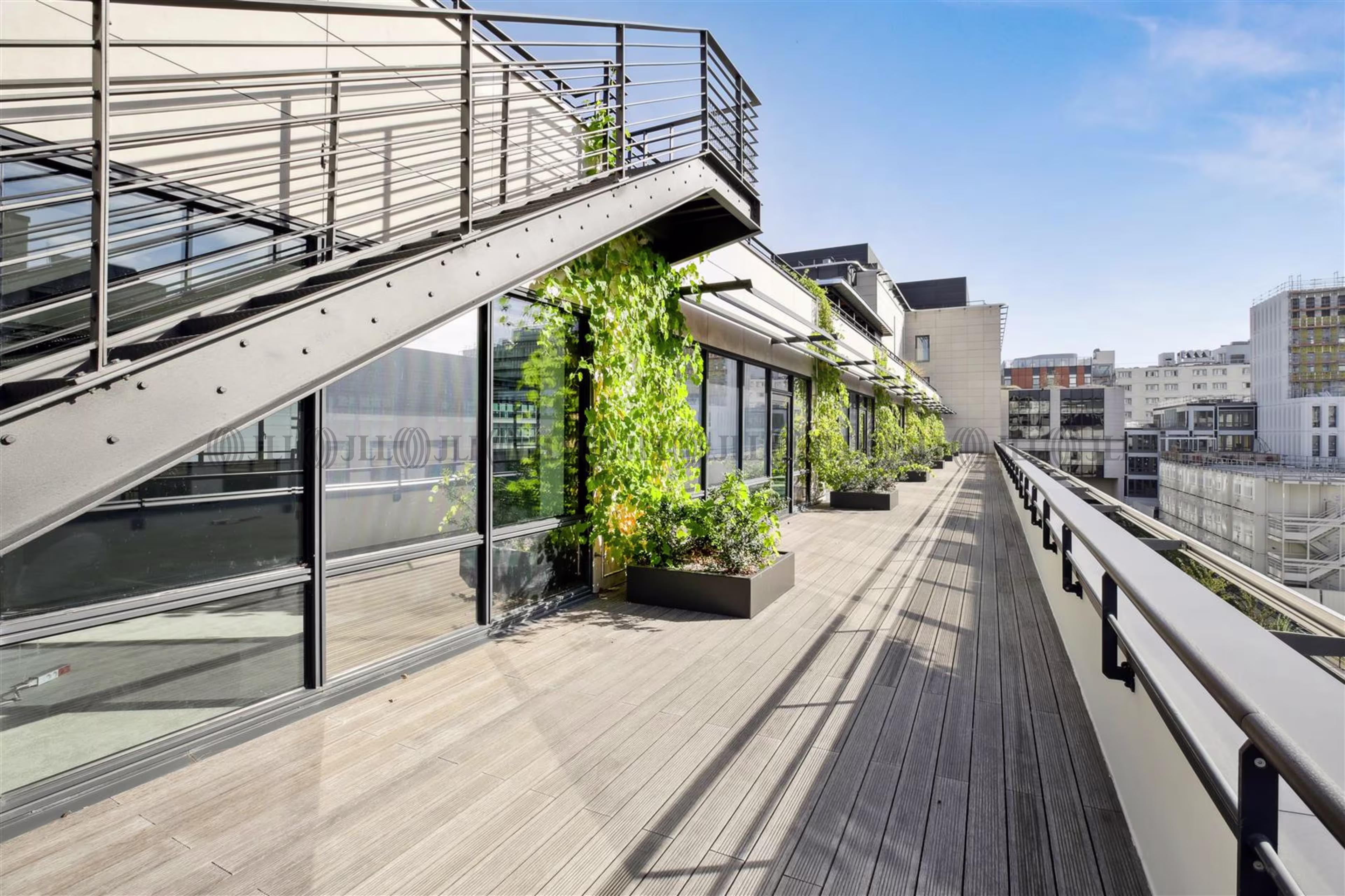 HIGH LINE