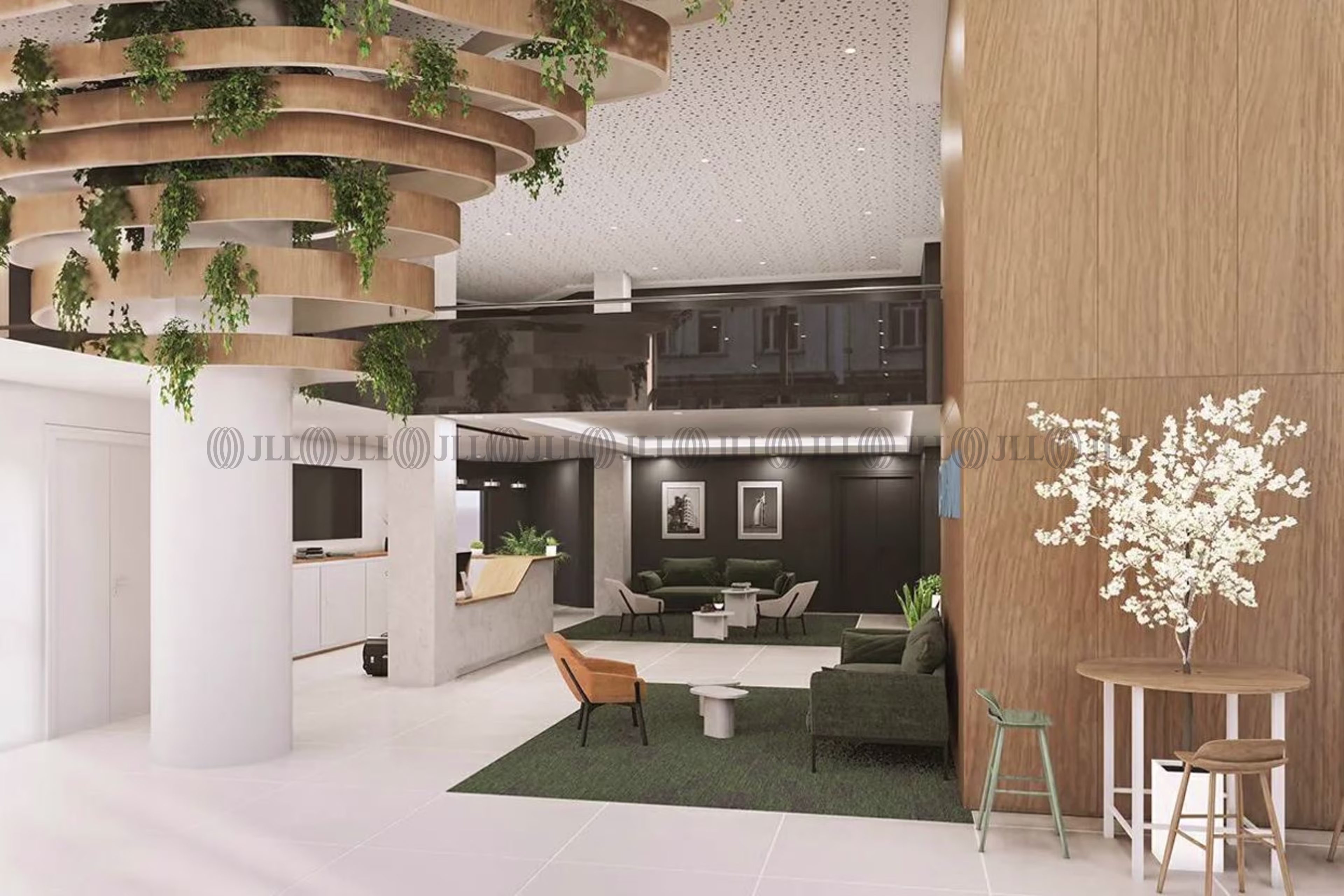 CAMBIUM