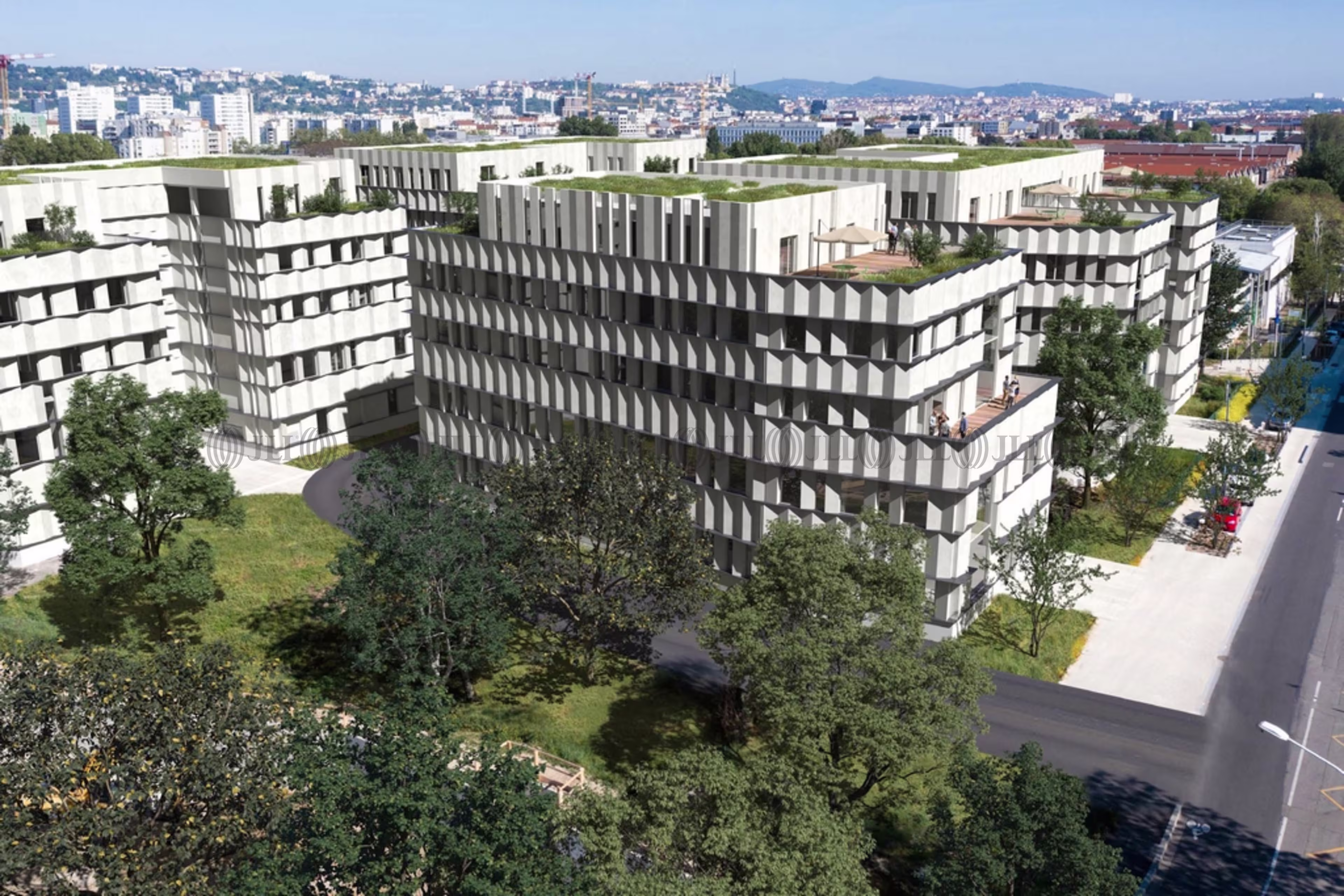 PROJET BIOS - BAT C