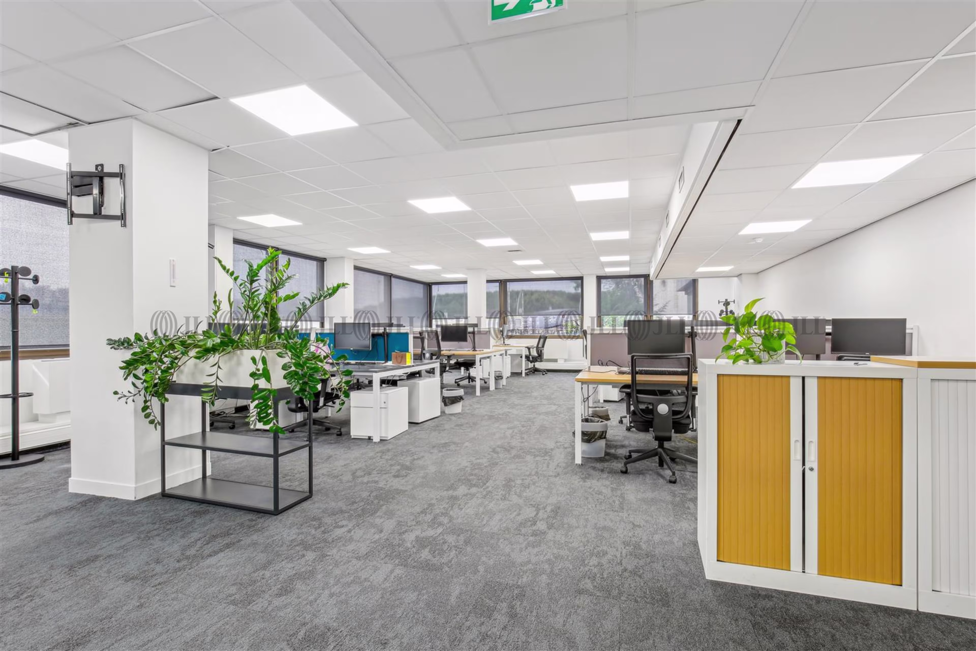 LES BUREAUX DE LA COLLINE