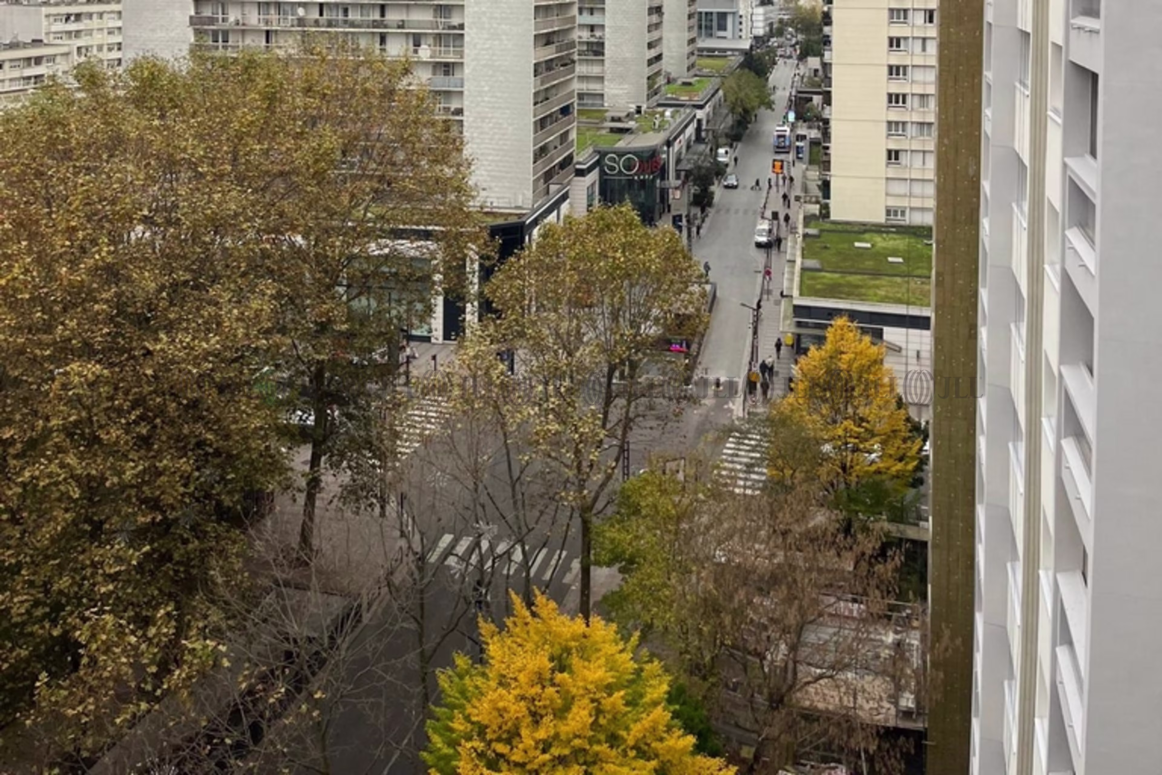 LE RAVEL