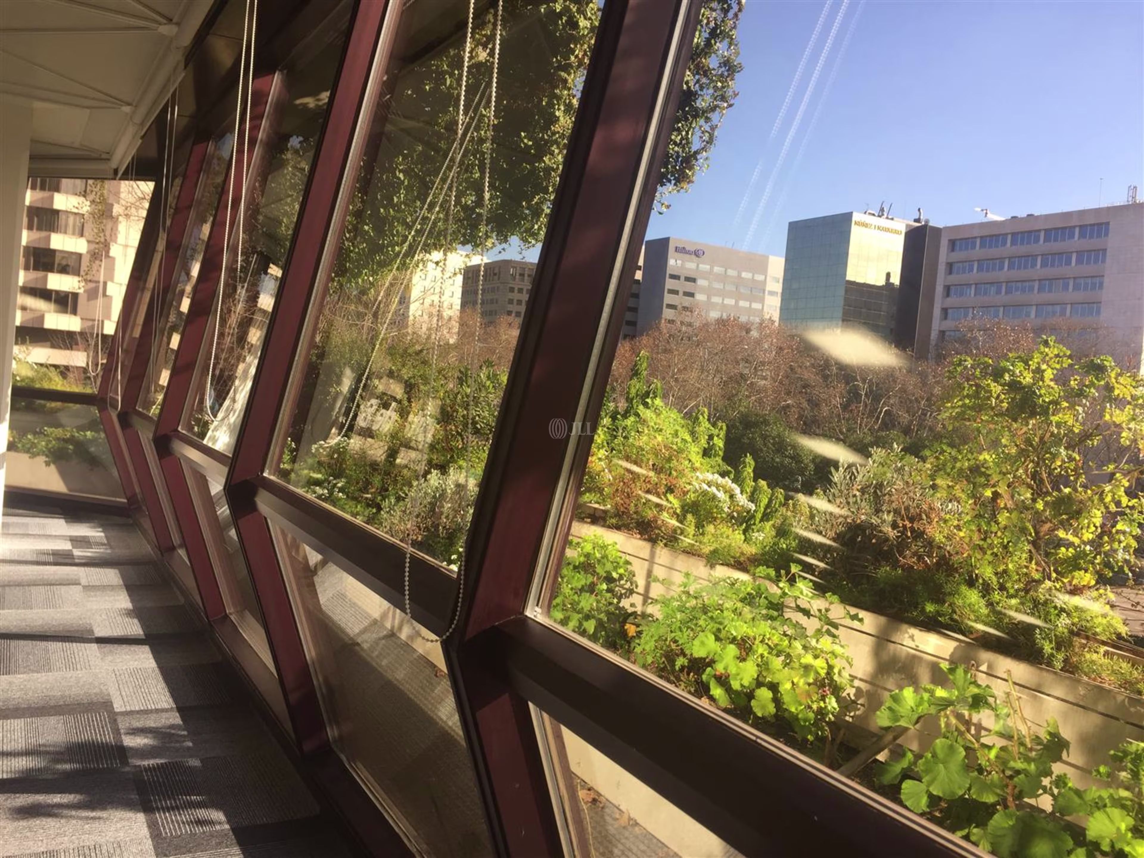 EDIFICIO D GARDEN