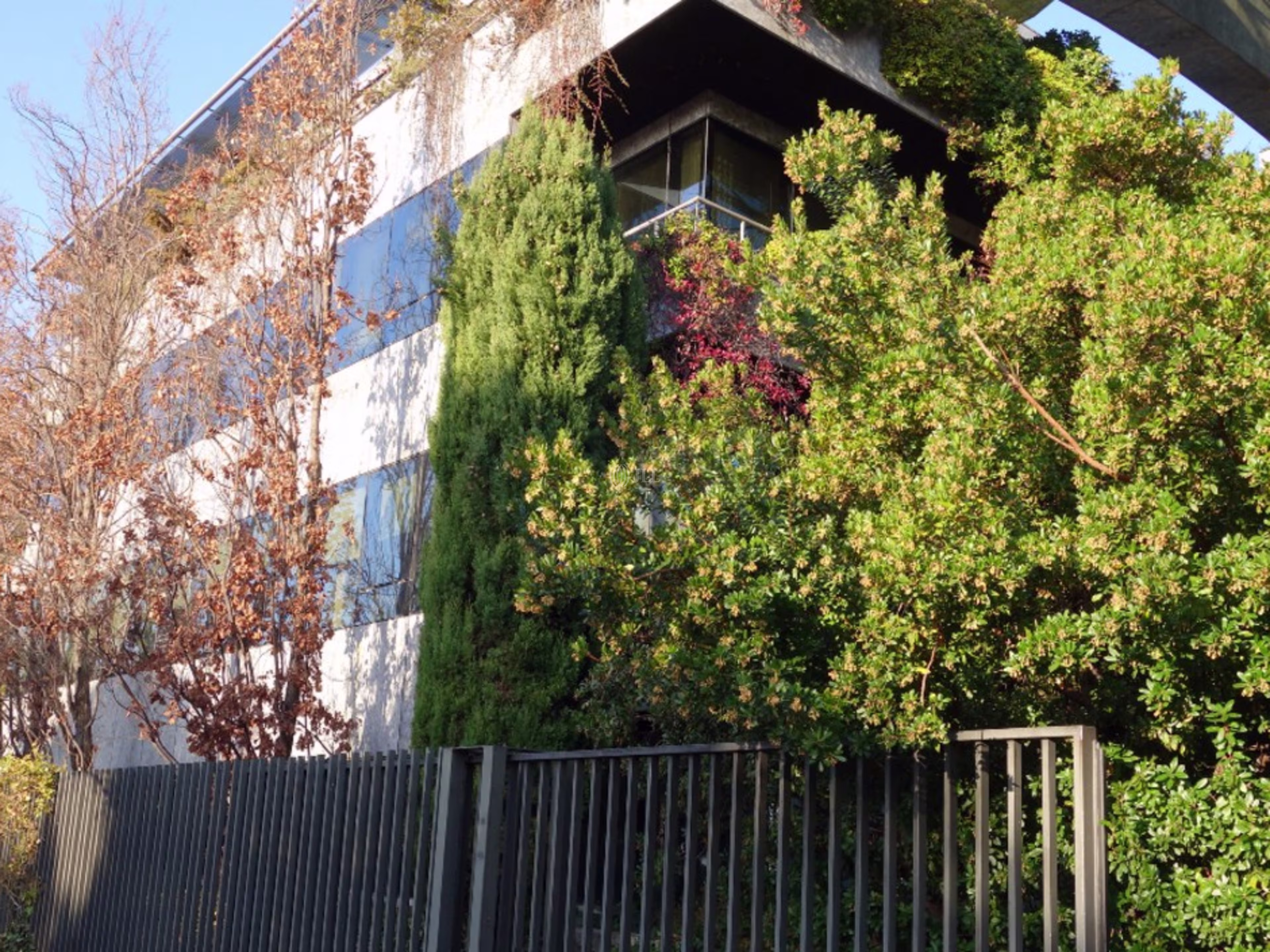 Edificio 5