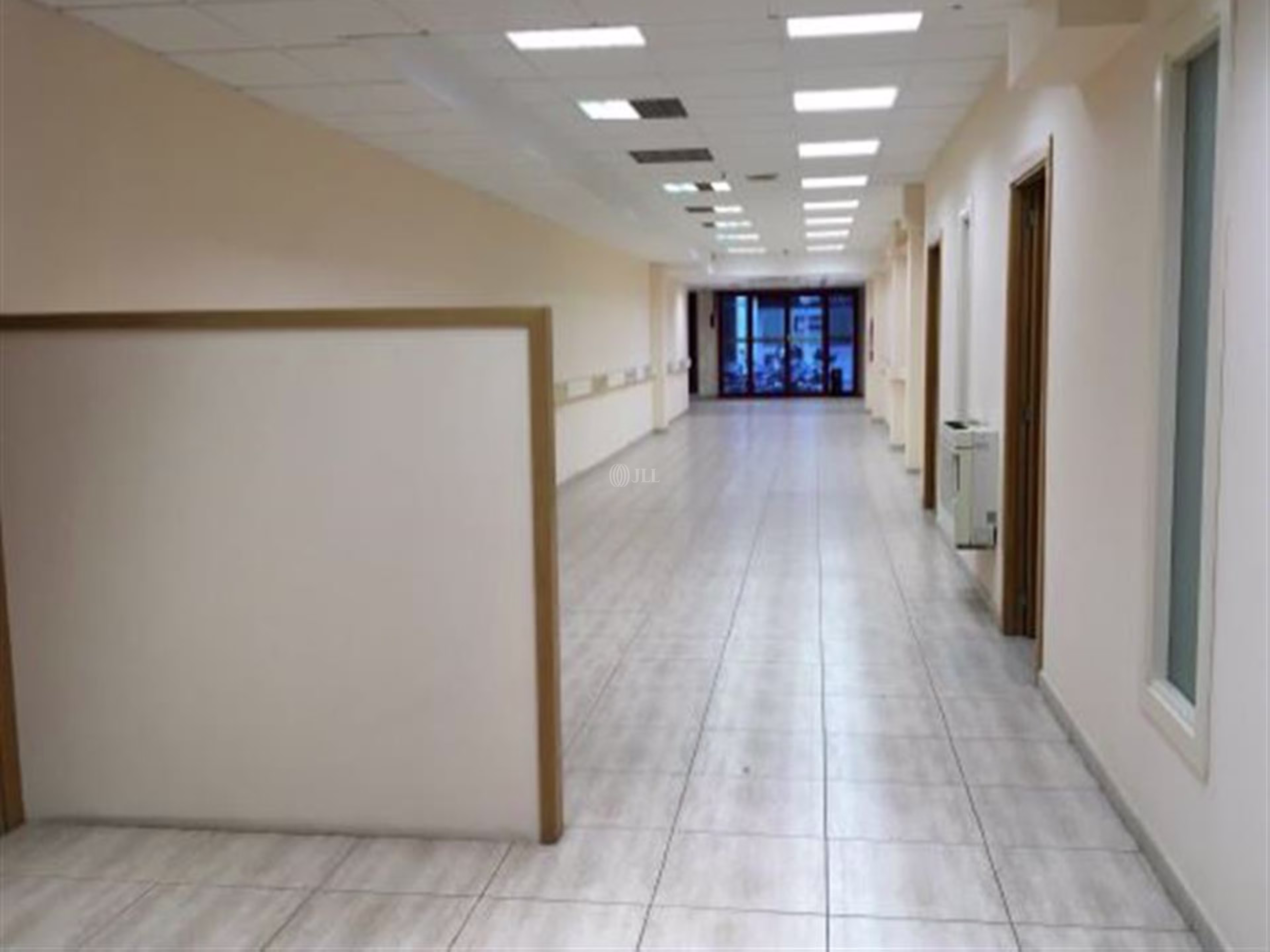 Hurtado 31