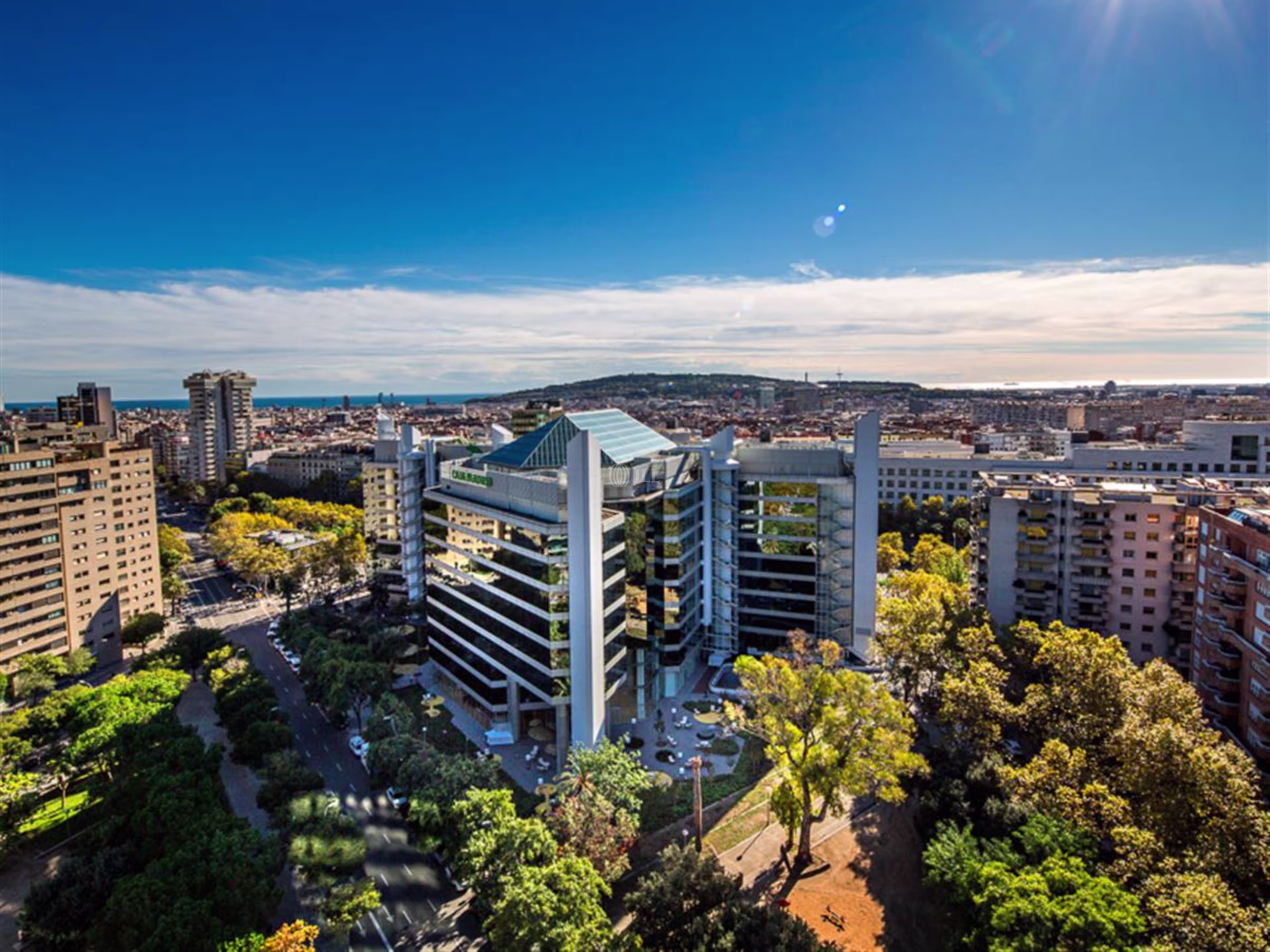 ALTA DIAGONAL