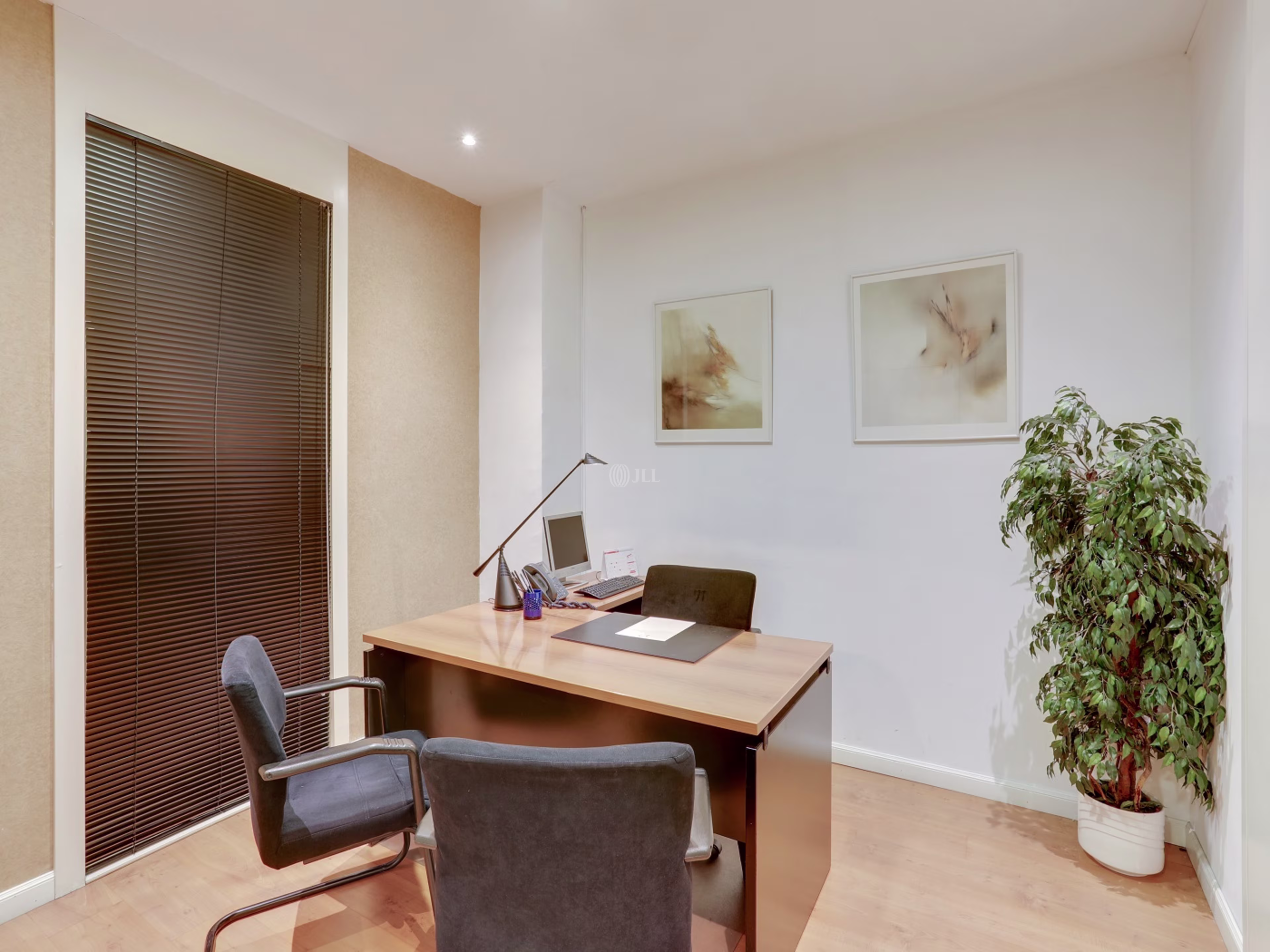 Velazquez  86 Coworking