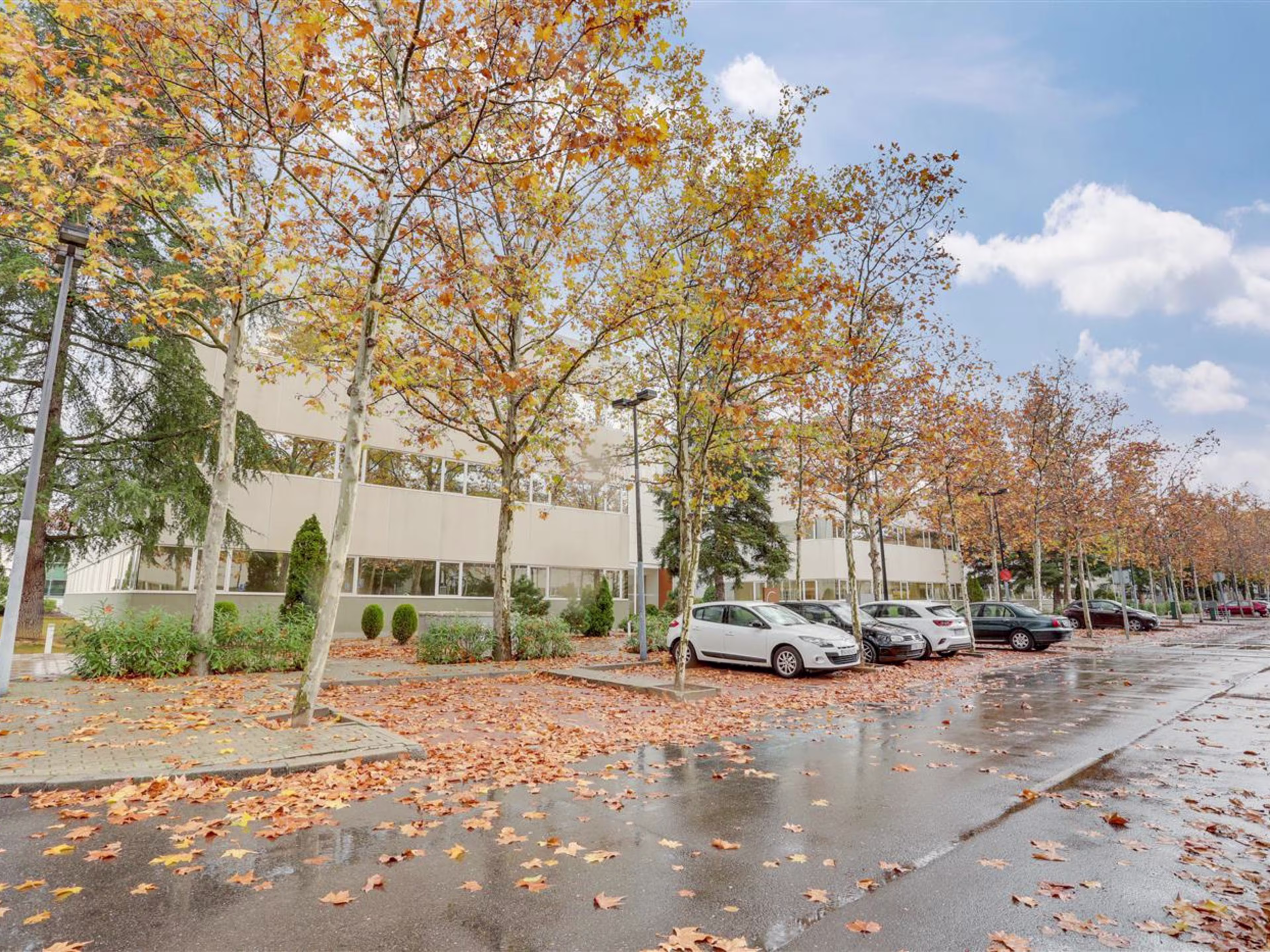 MaSID Headquarters- Edificio 10