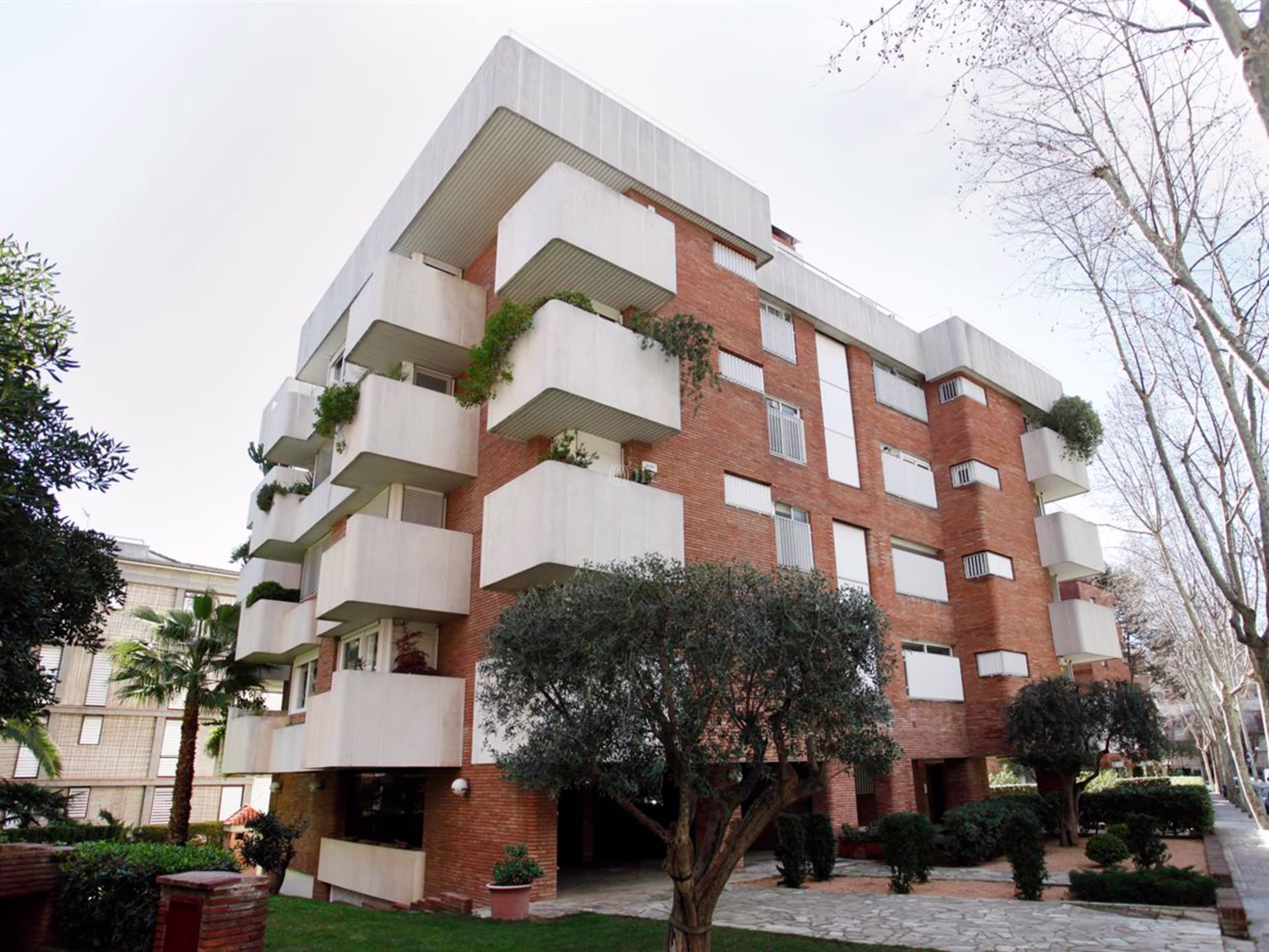 Borrell i Soler 8
