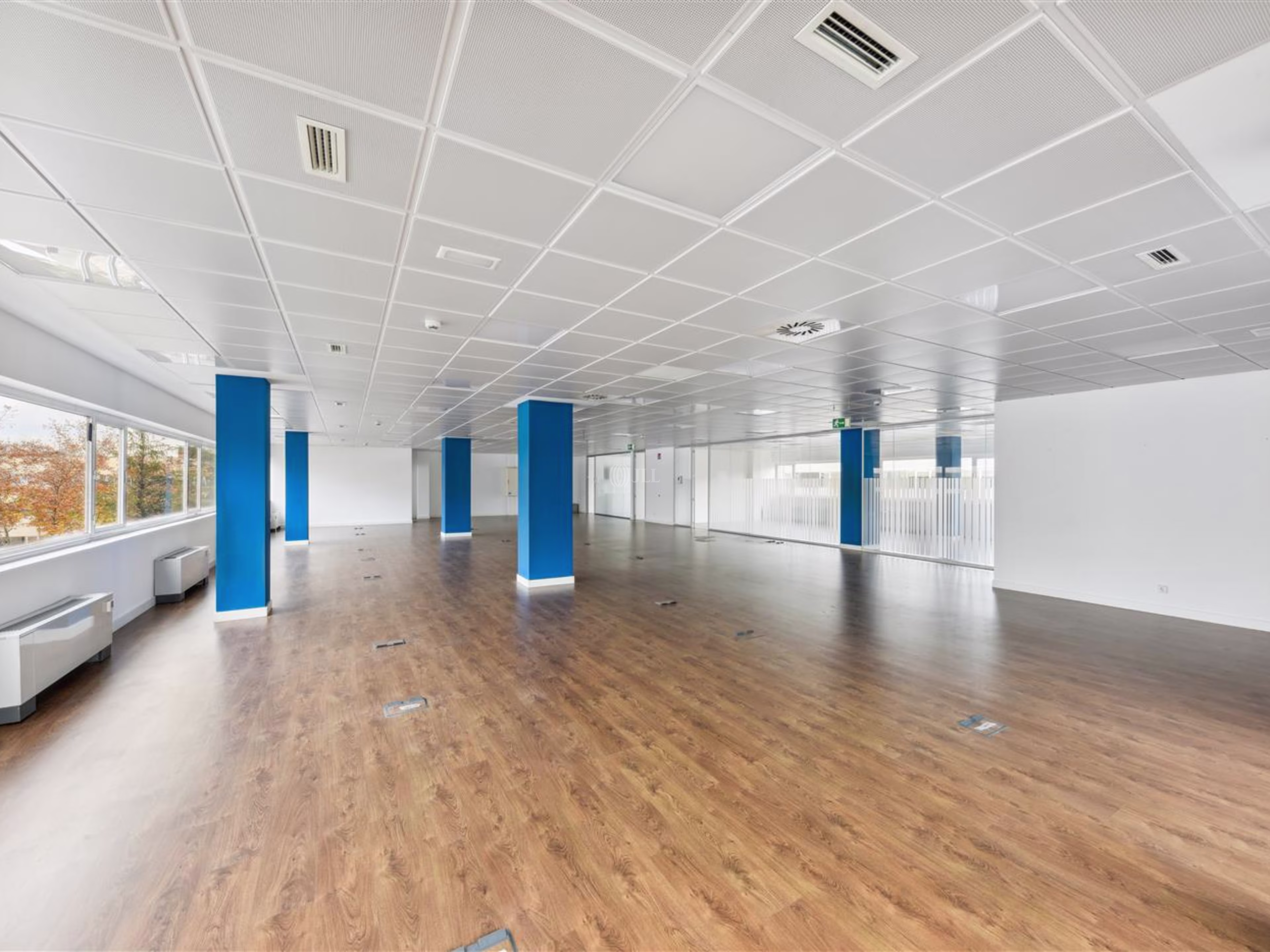 MaSID Headquarters - Edificio 12