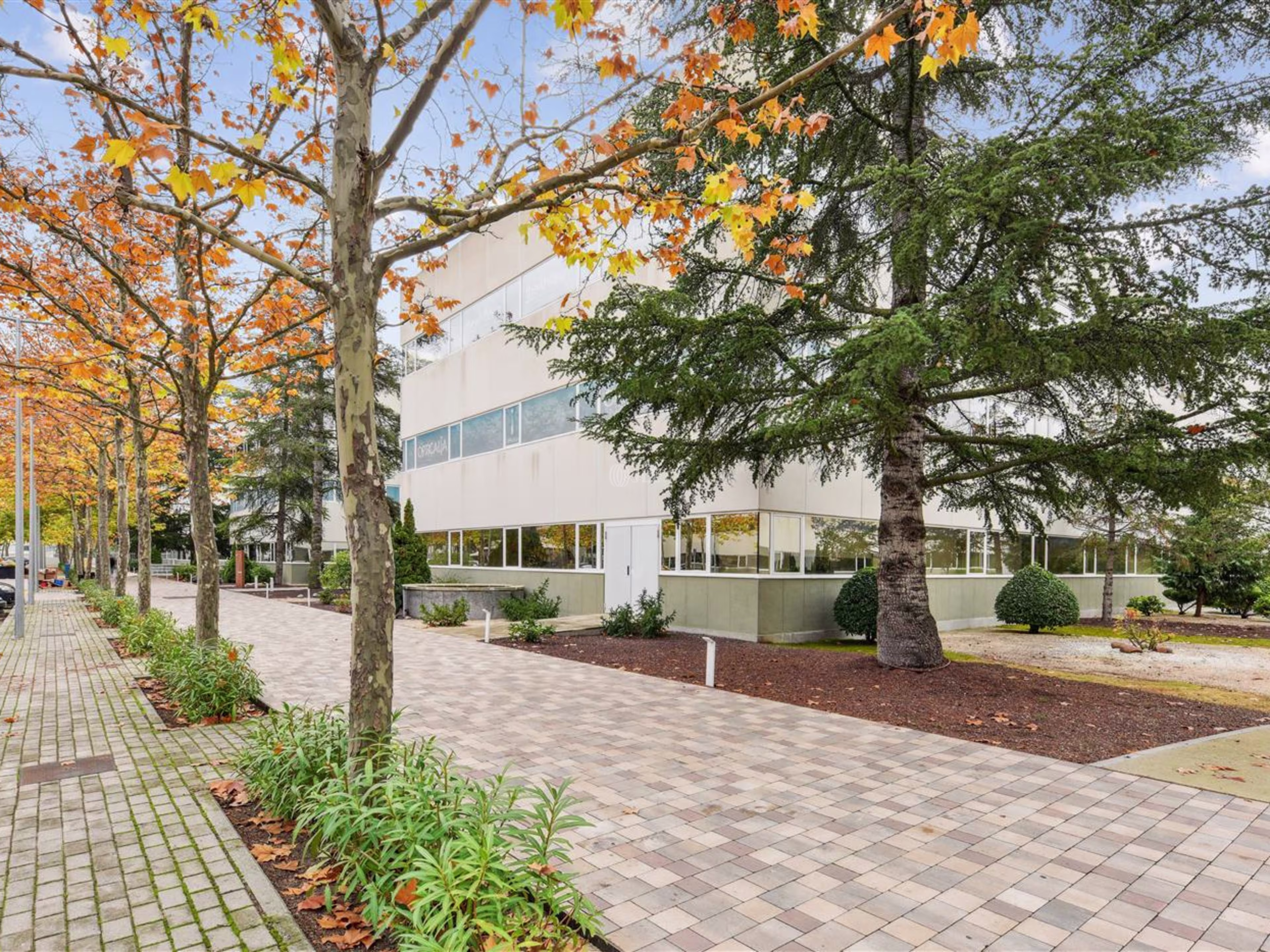 MaSID Headquarters - Edificio 12