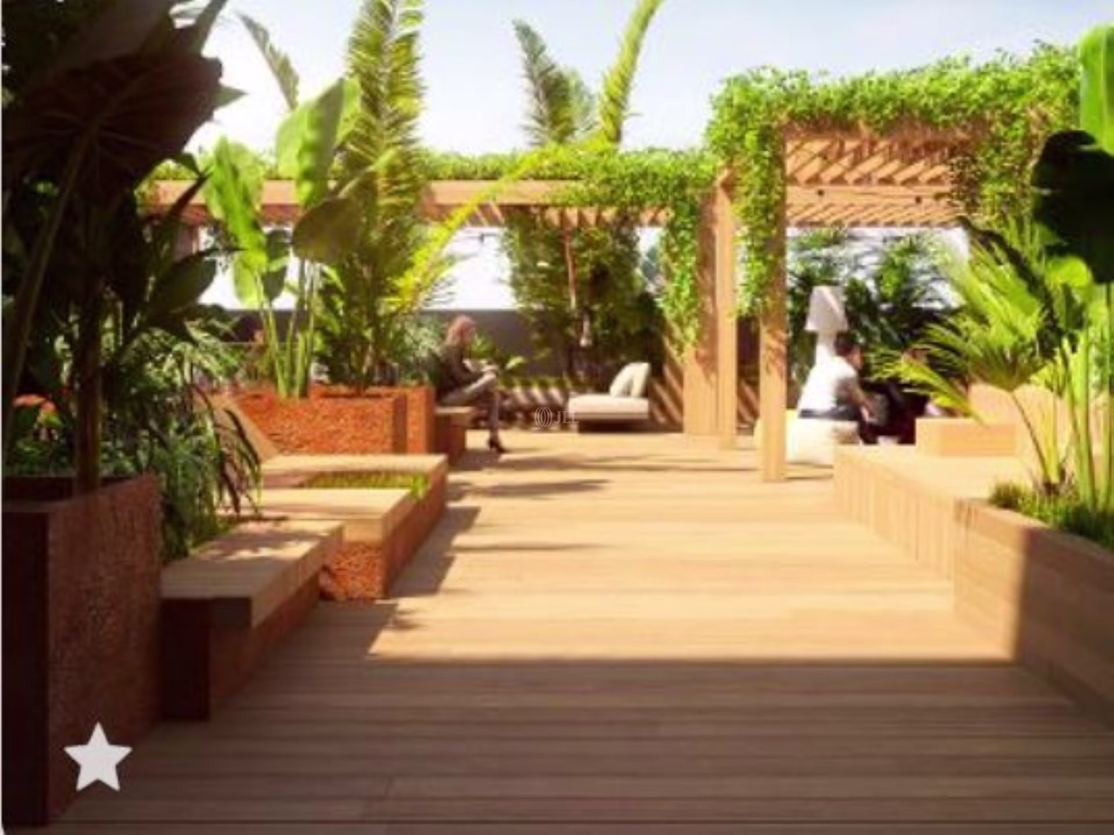 22 PALMS