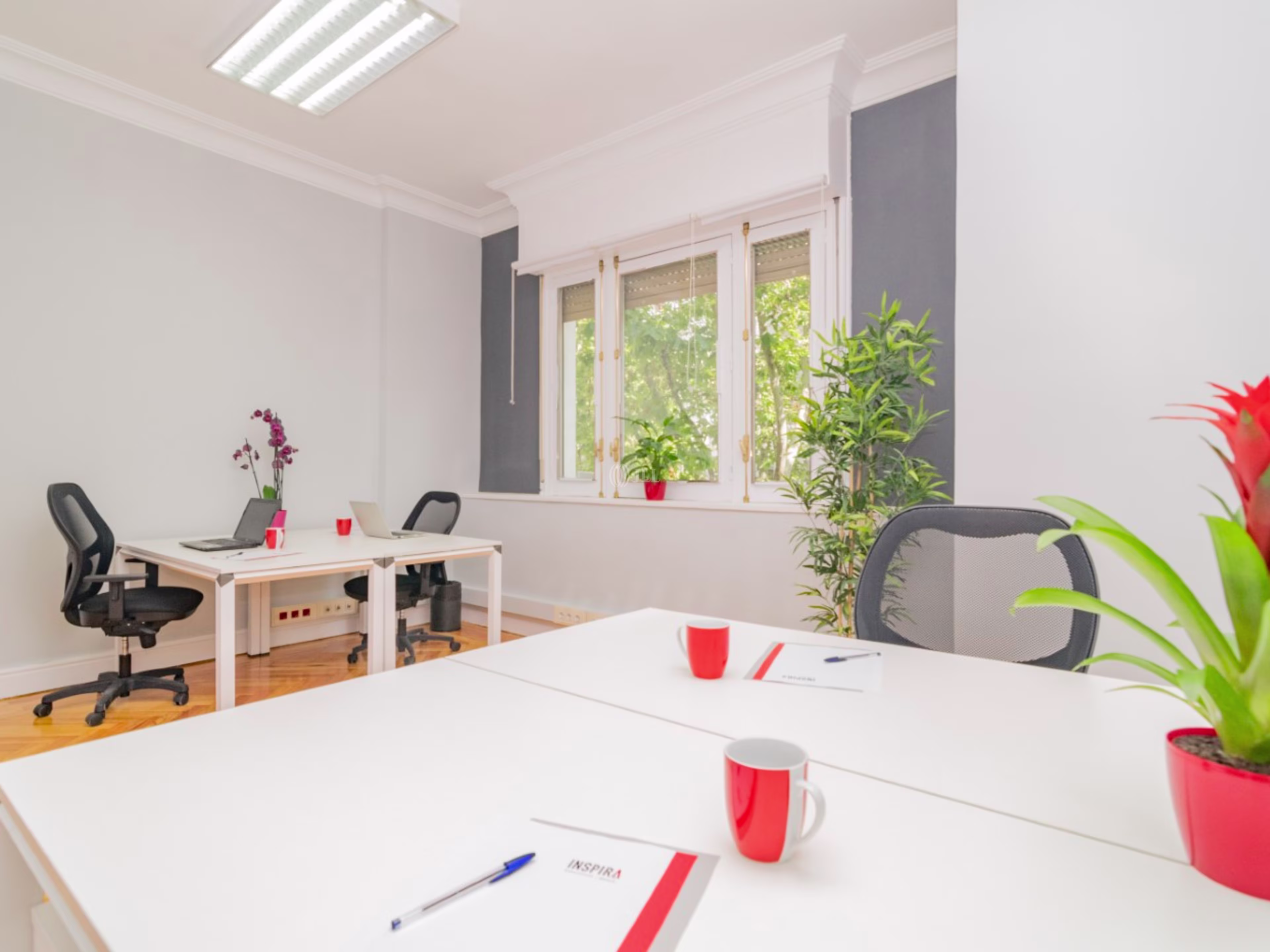 Abascal Coworking