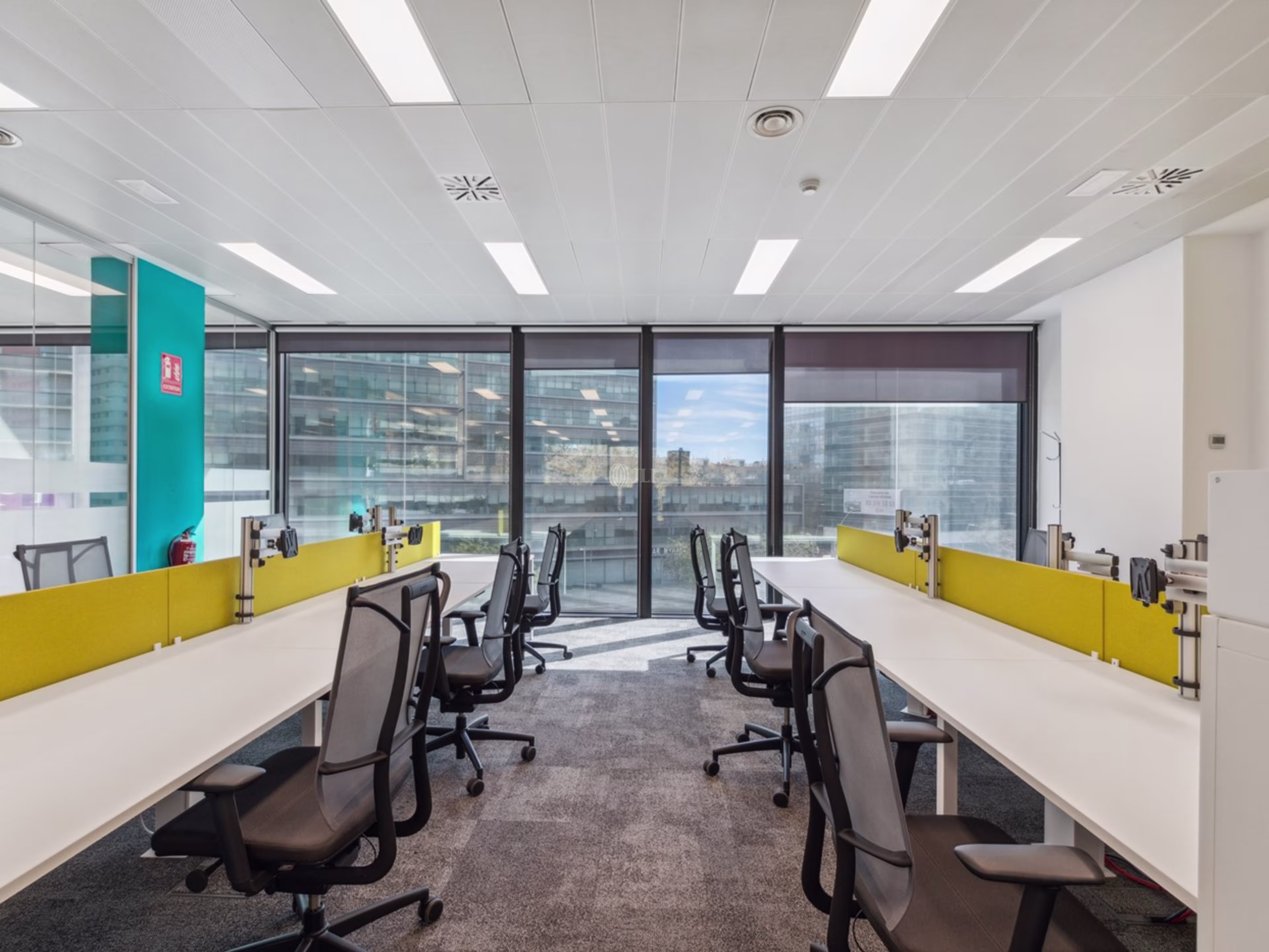 DIAGONAL SOL