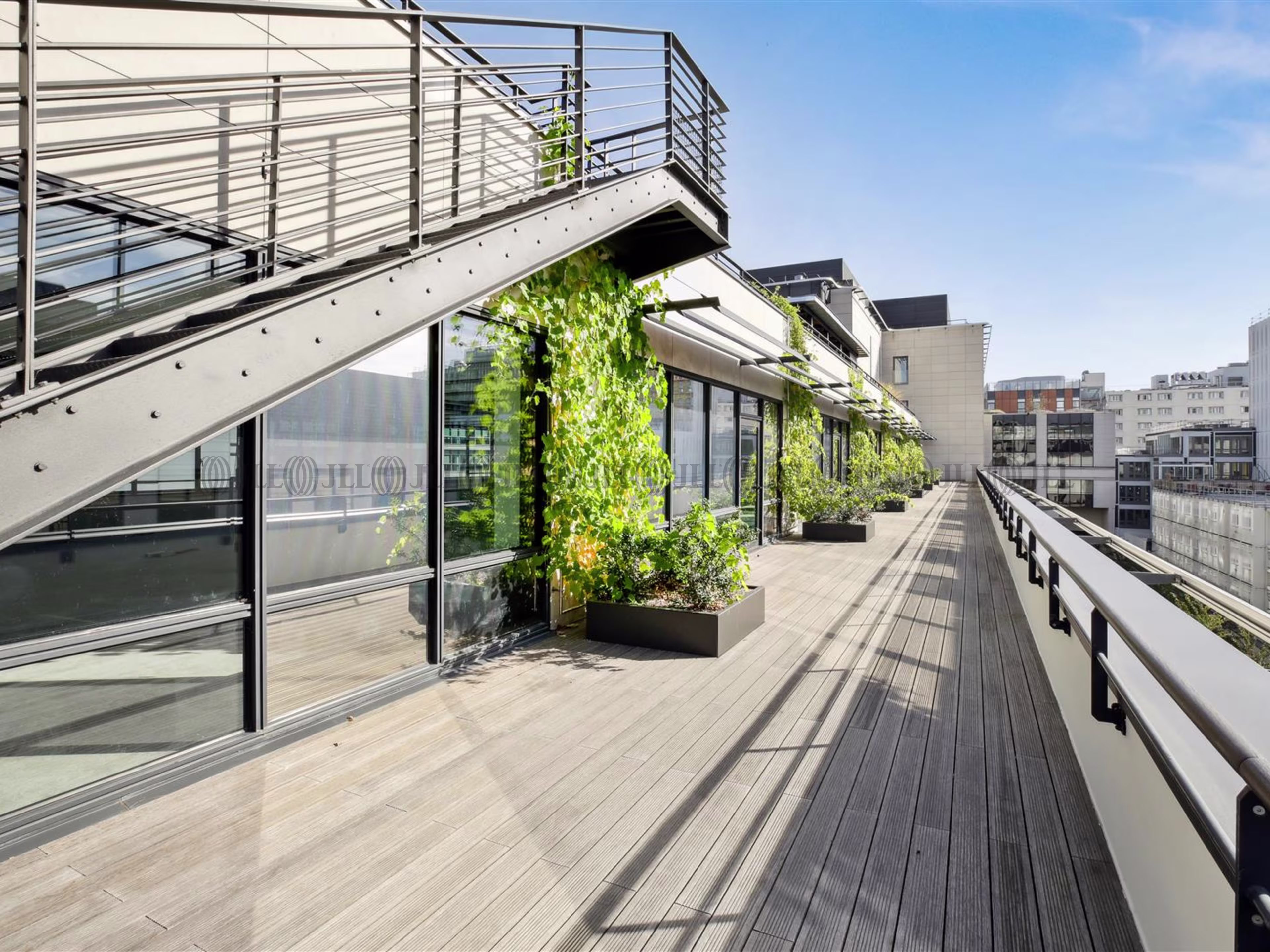 HIGH LINE