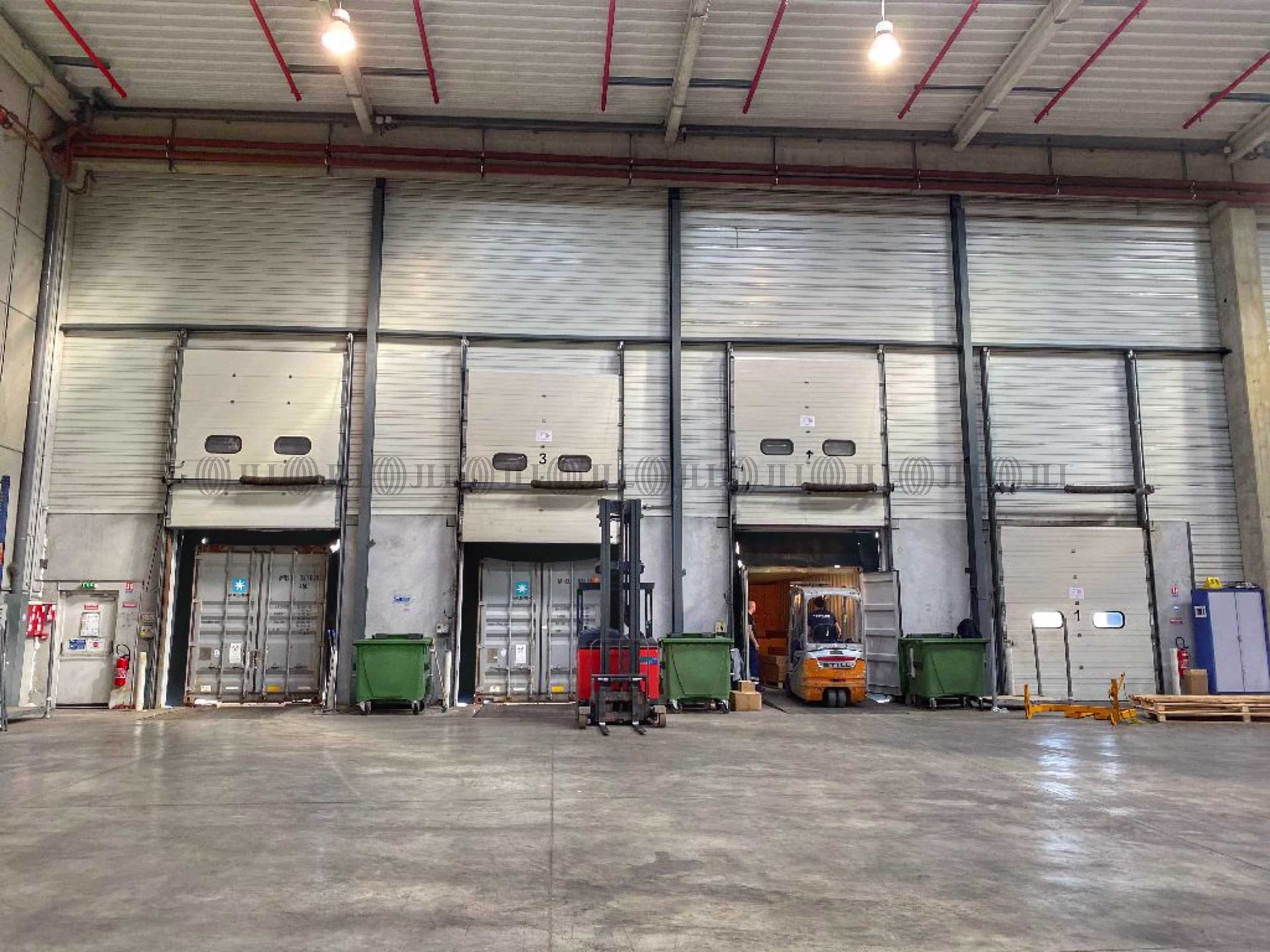 DISTRIPORT - B3