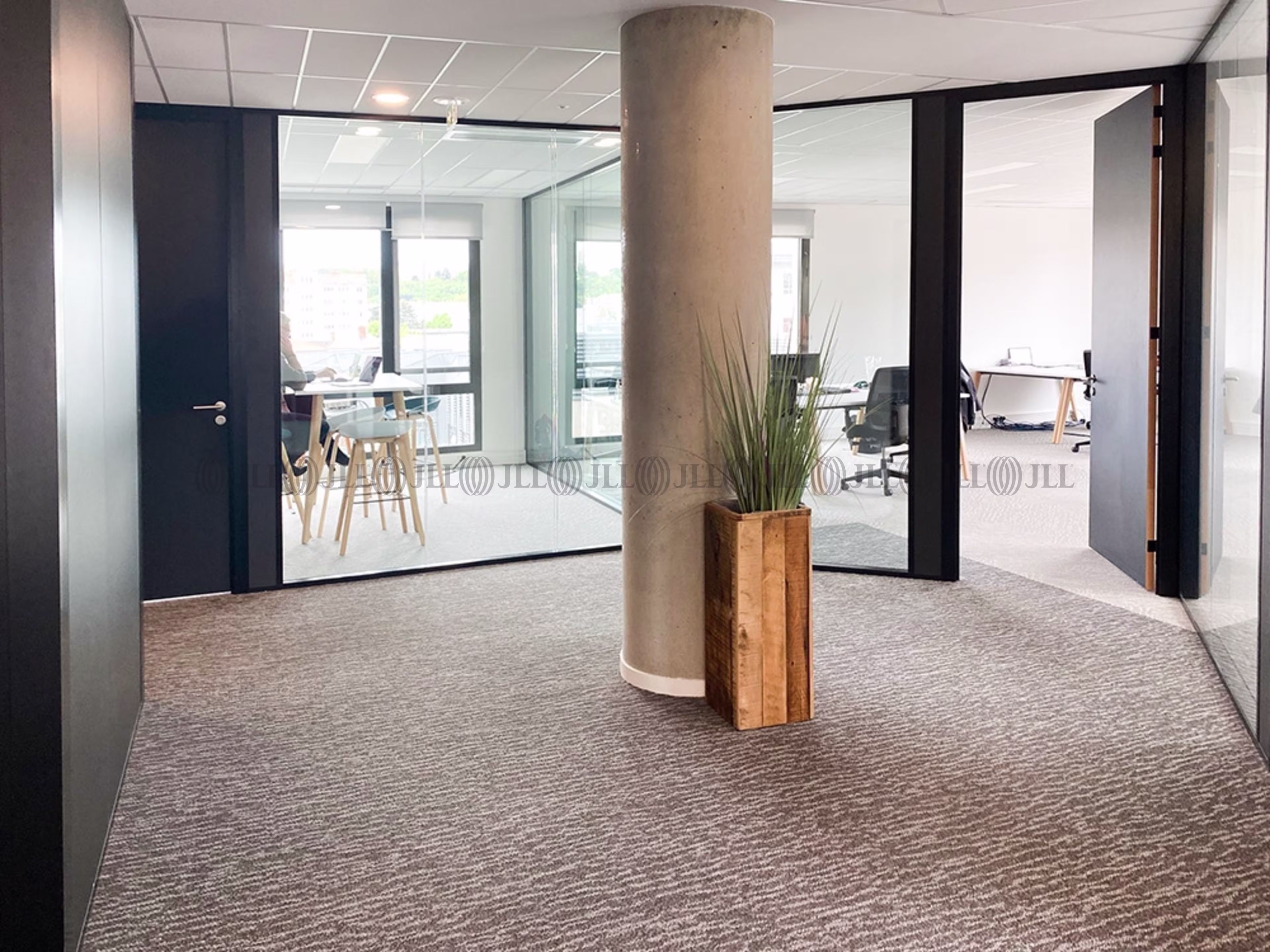 COWORKING - AGRIPPA