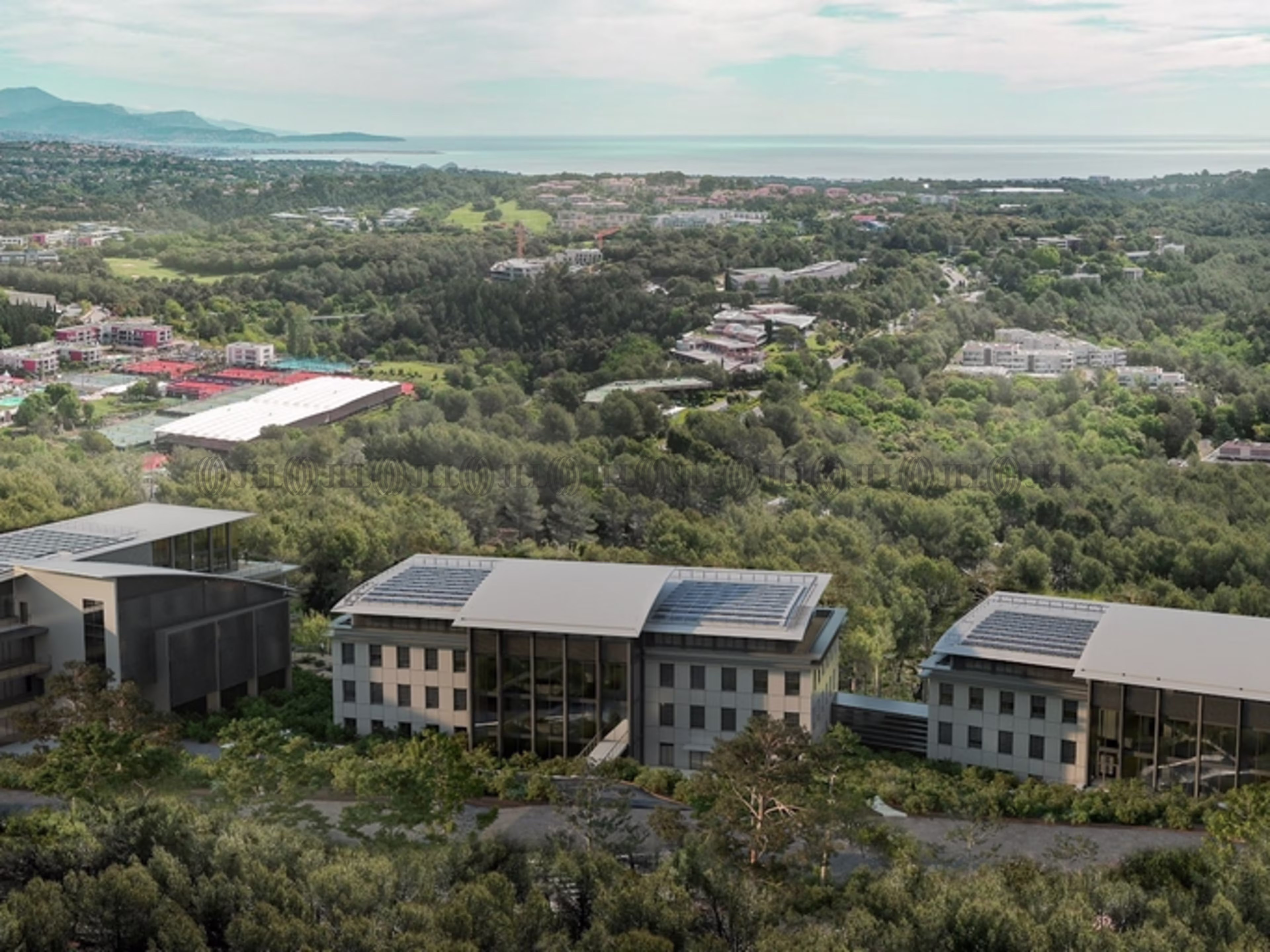  NEWTON OFFICES - SOPHIA ANTIPOLIS