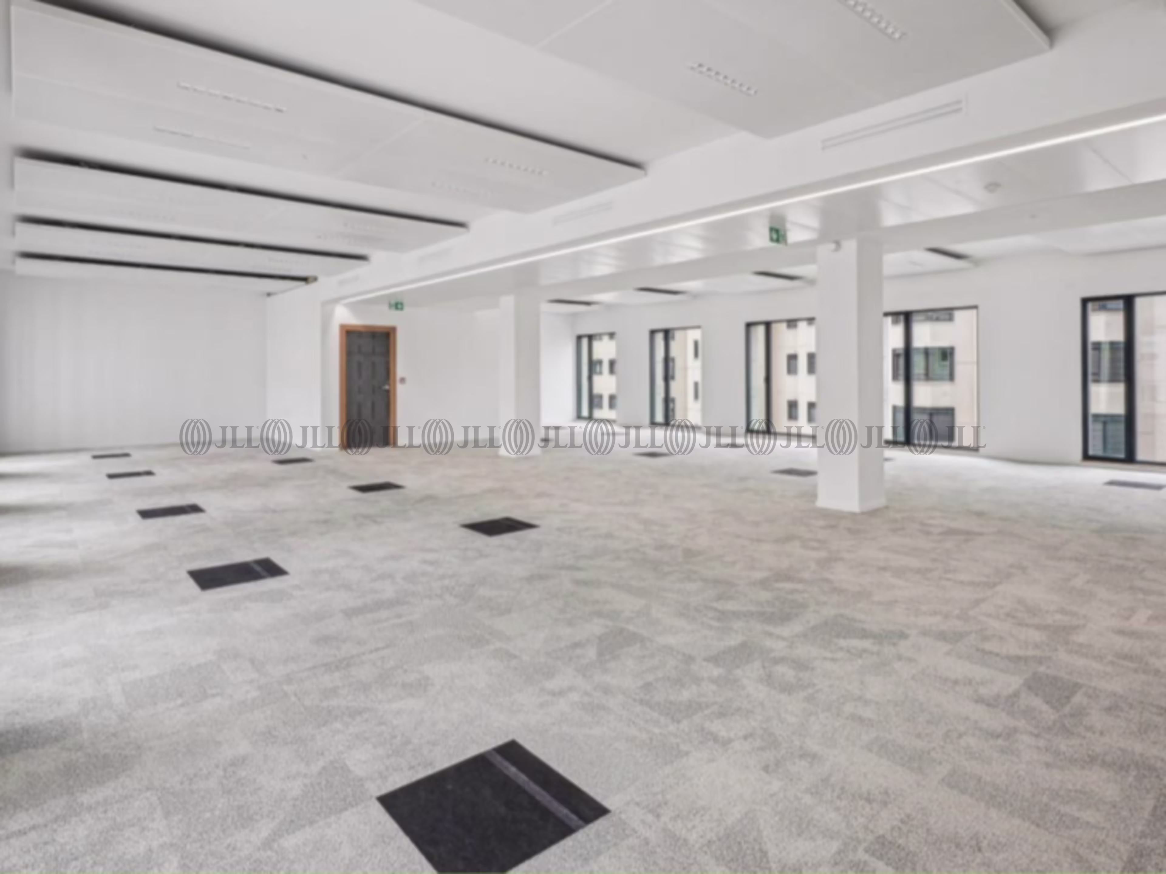 LE PRIMATVERA LE PRIMATVERA