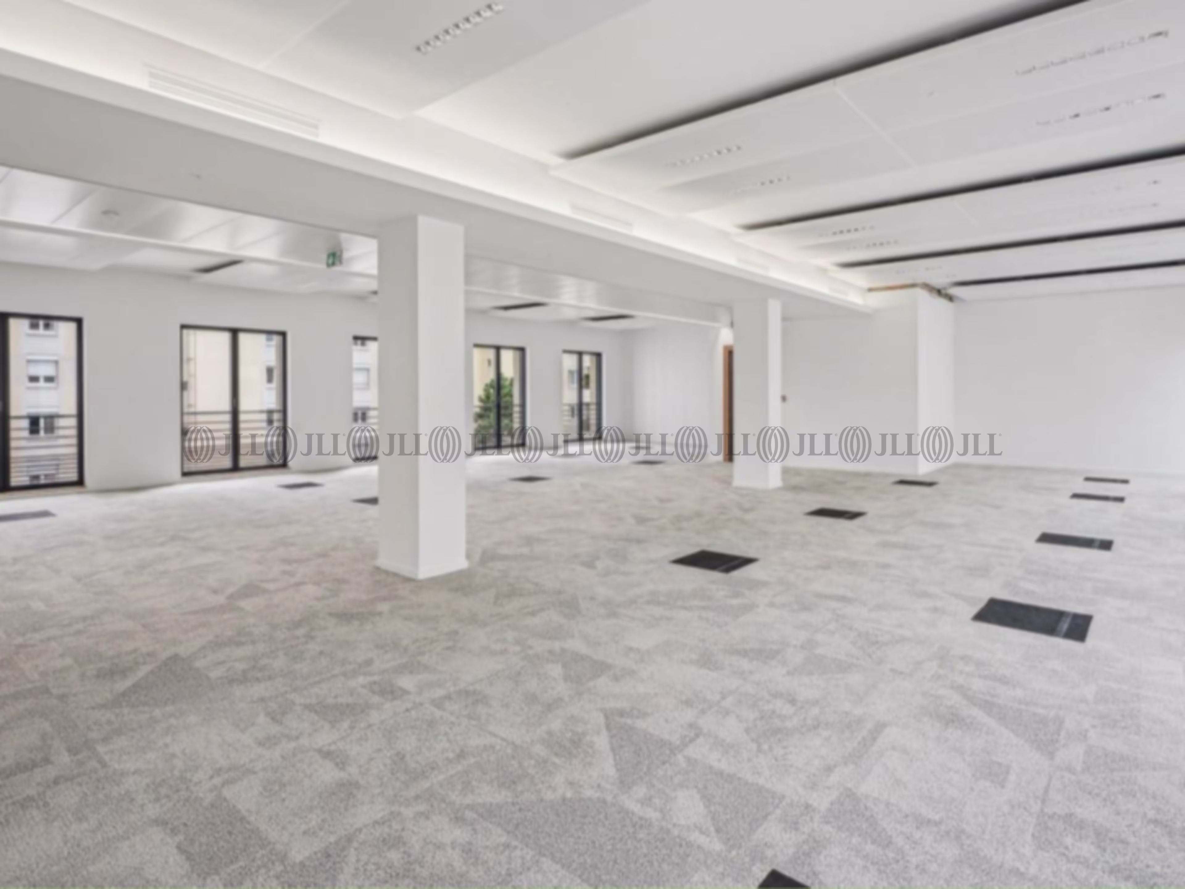 LE PRIMATVERA LE PRIMATVERA