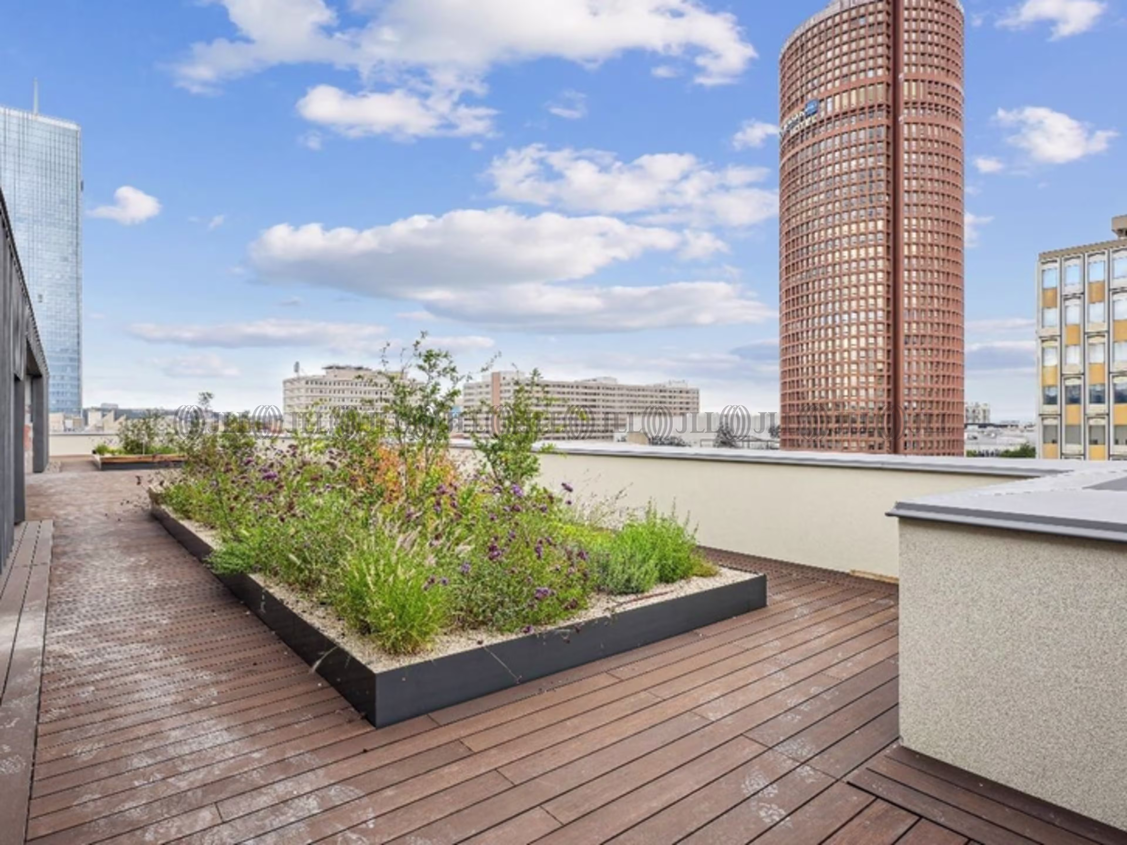 LE PRIMATVERA LE PRIMATVERA