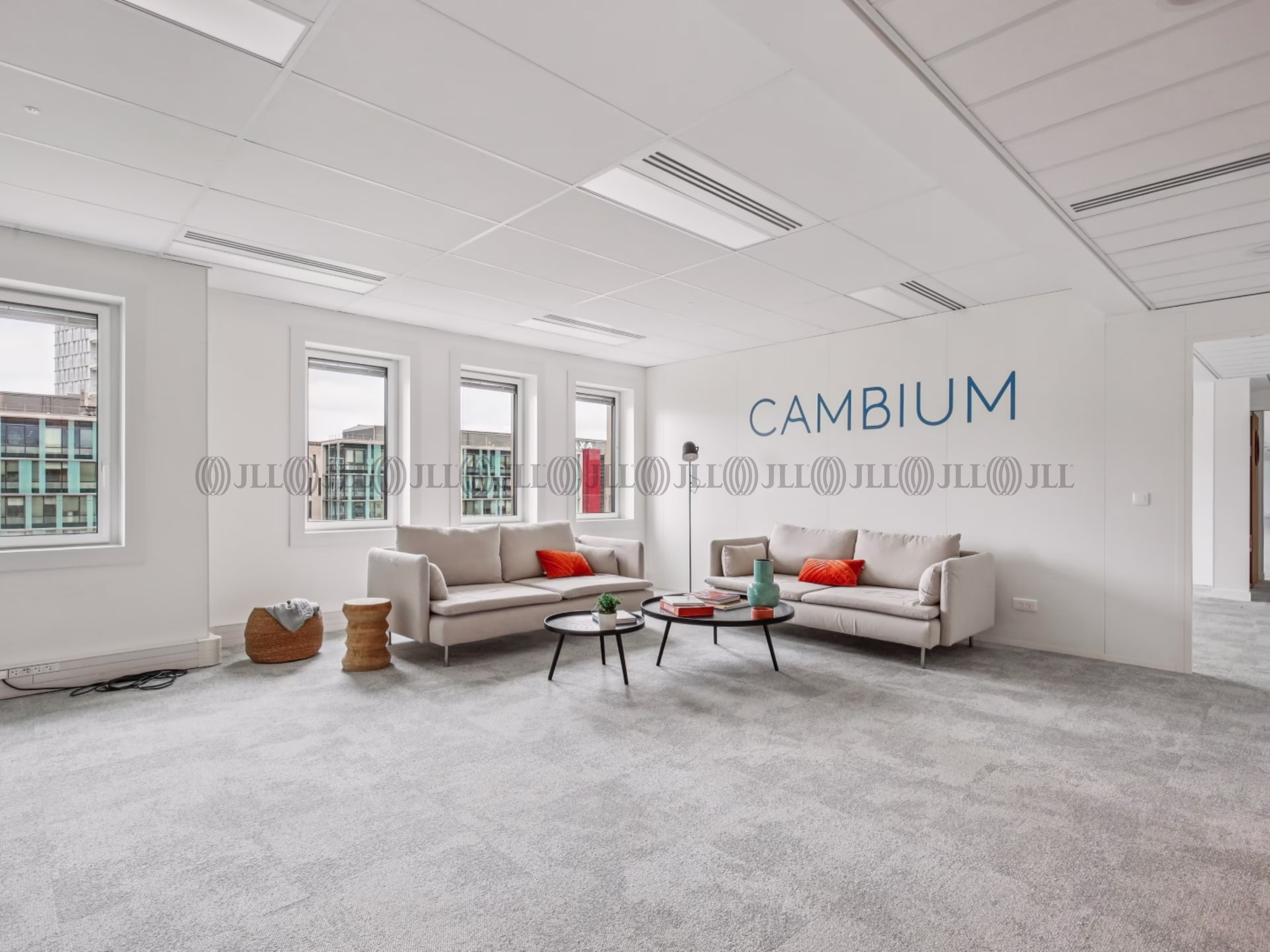 CAMBIUM