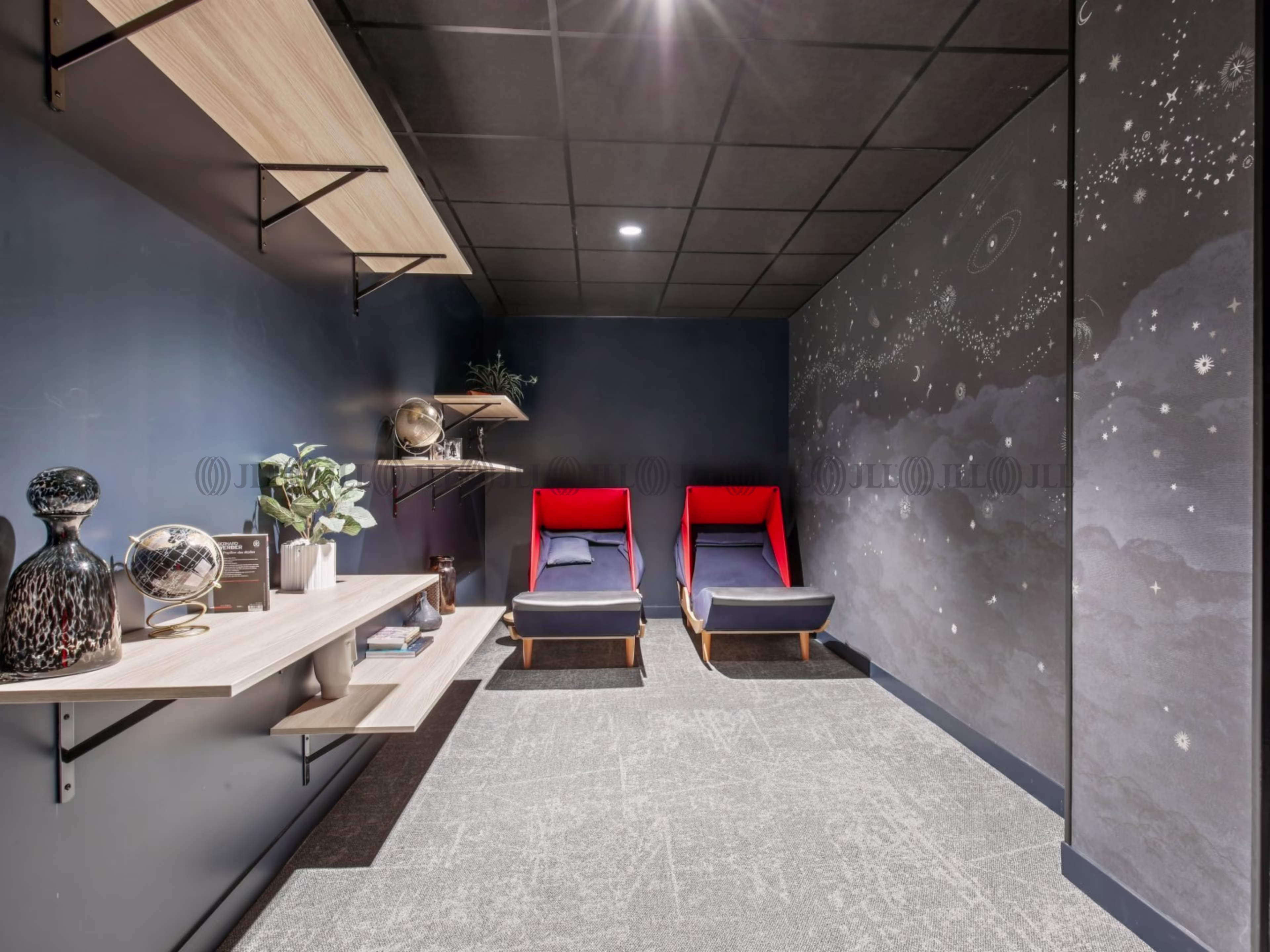 CAMBIUM