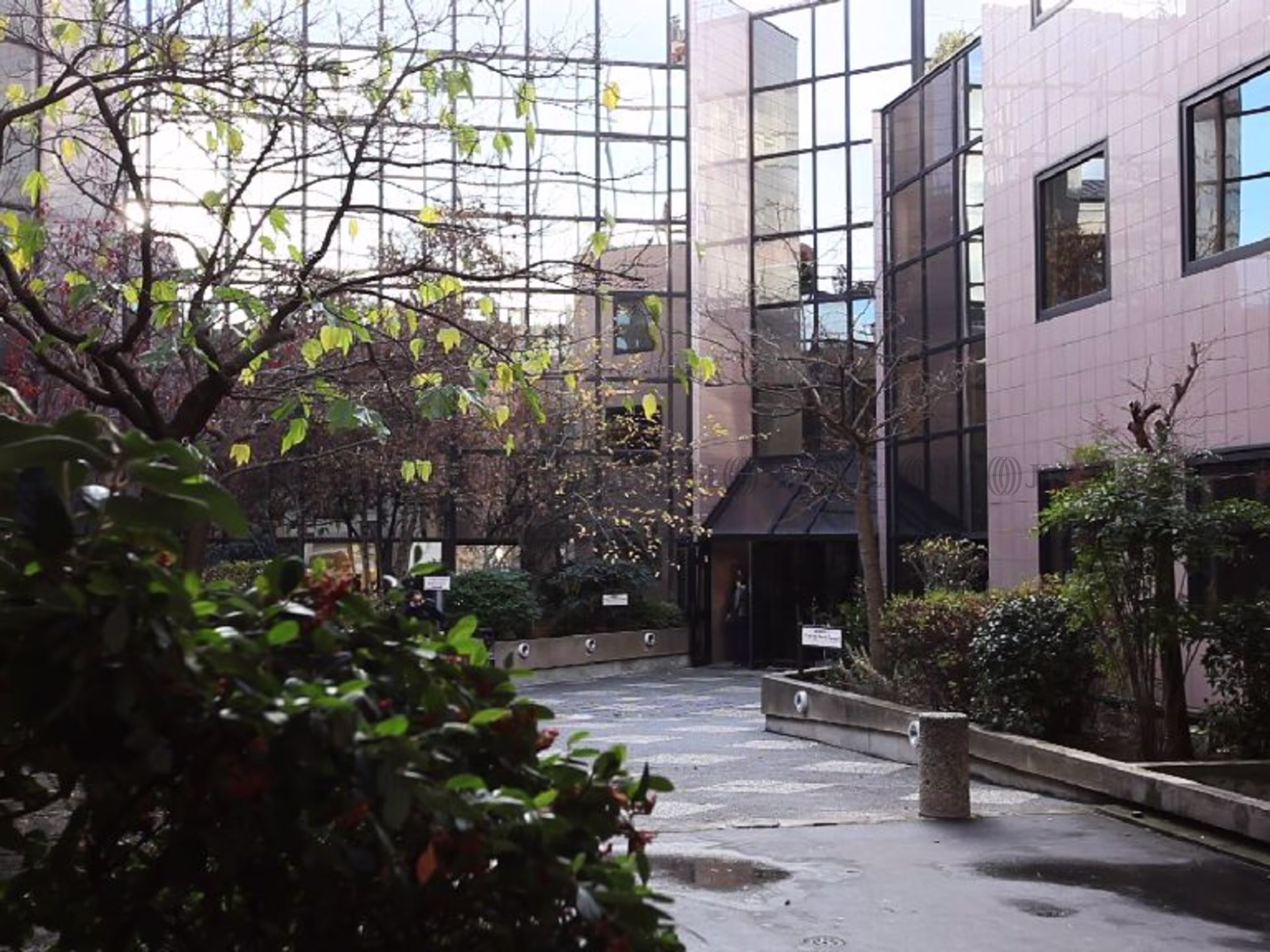 LES PATIOS LES PATIOS