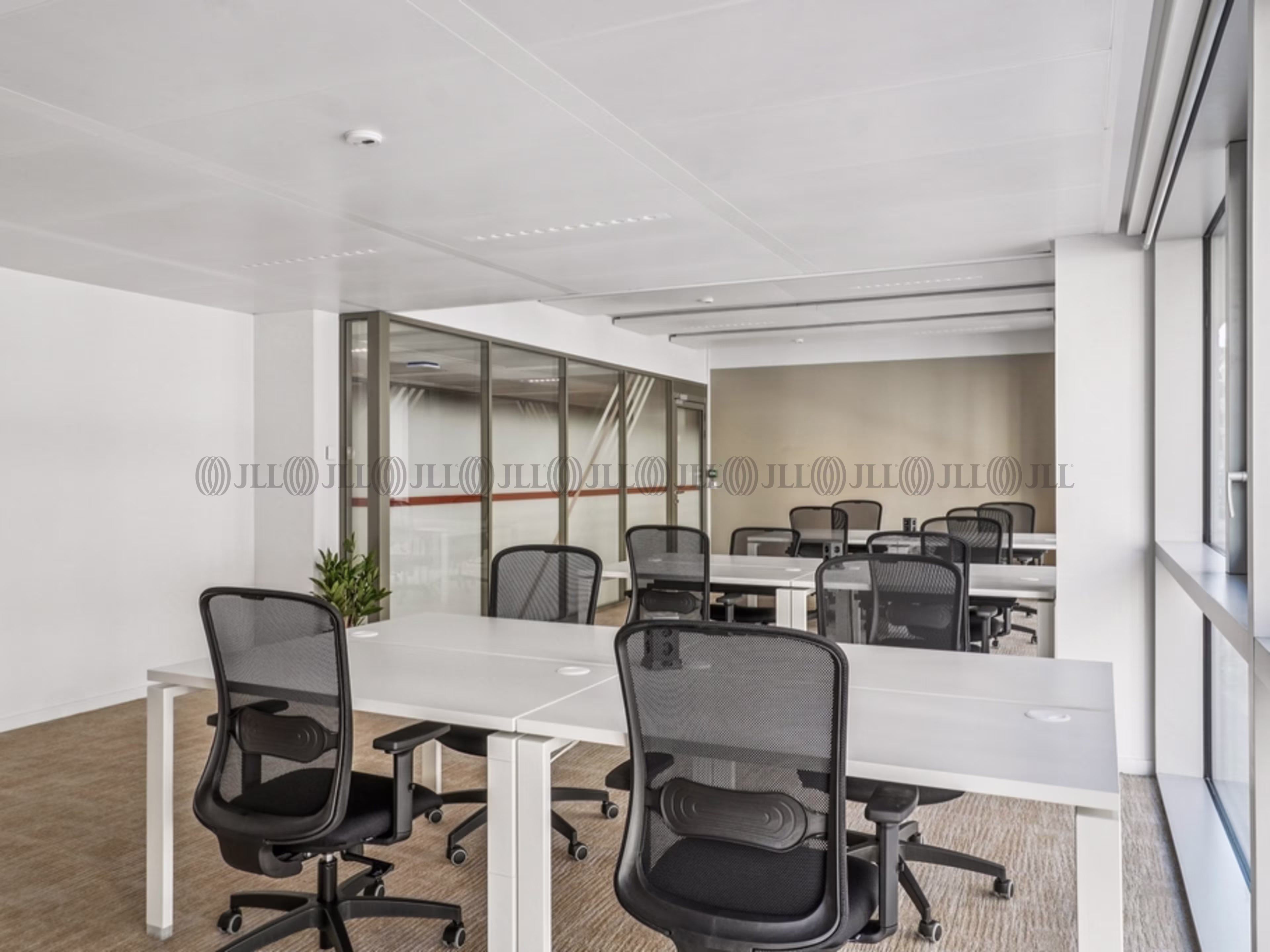 DESKEO - NEXT DESKEO - NEXT