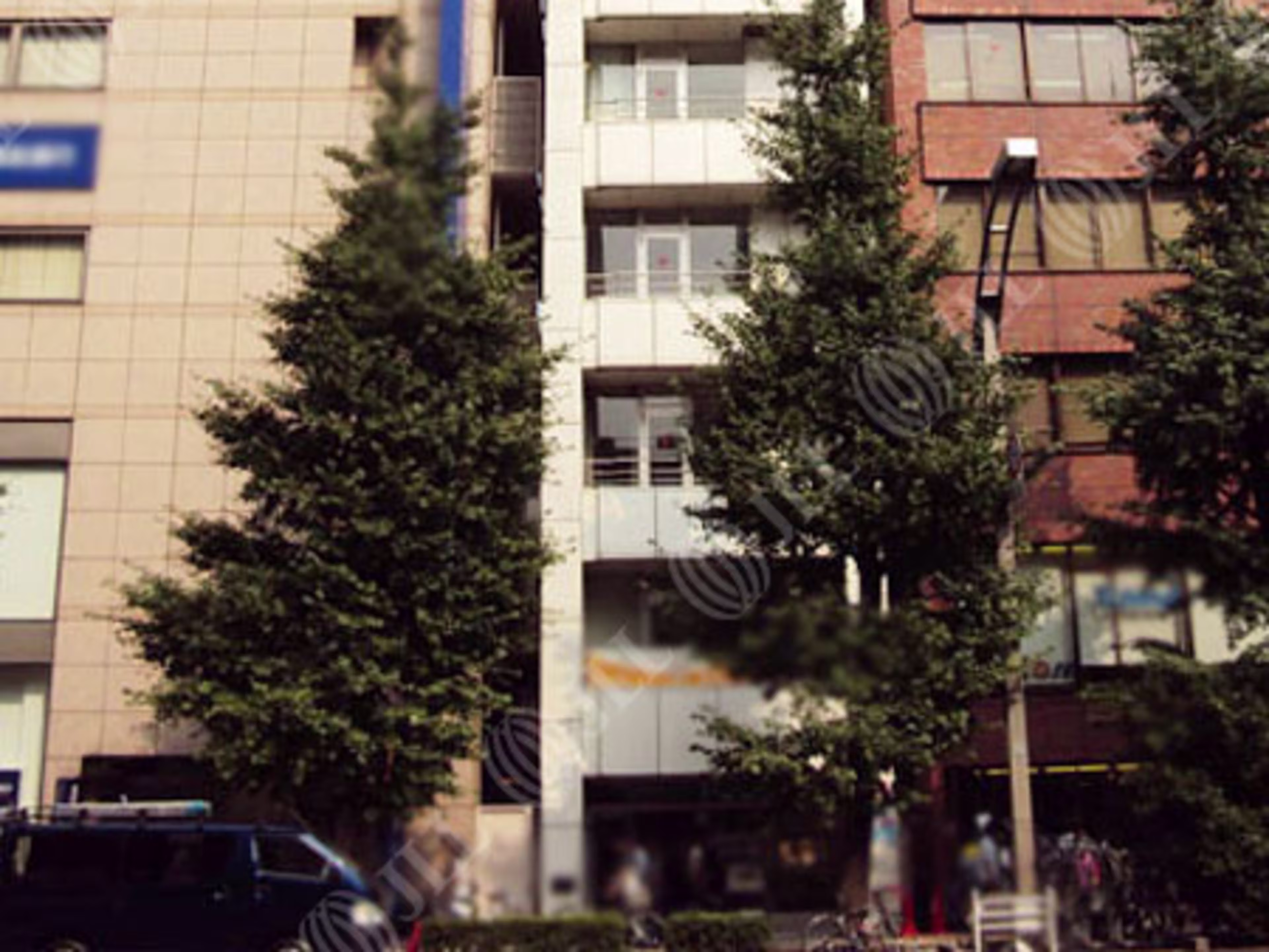 文行堂ビル
