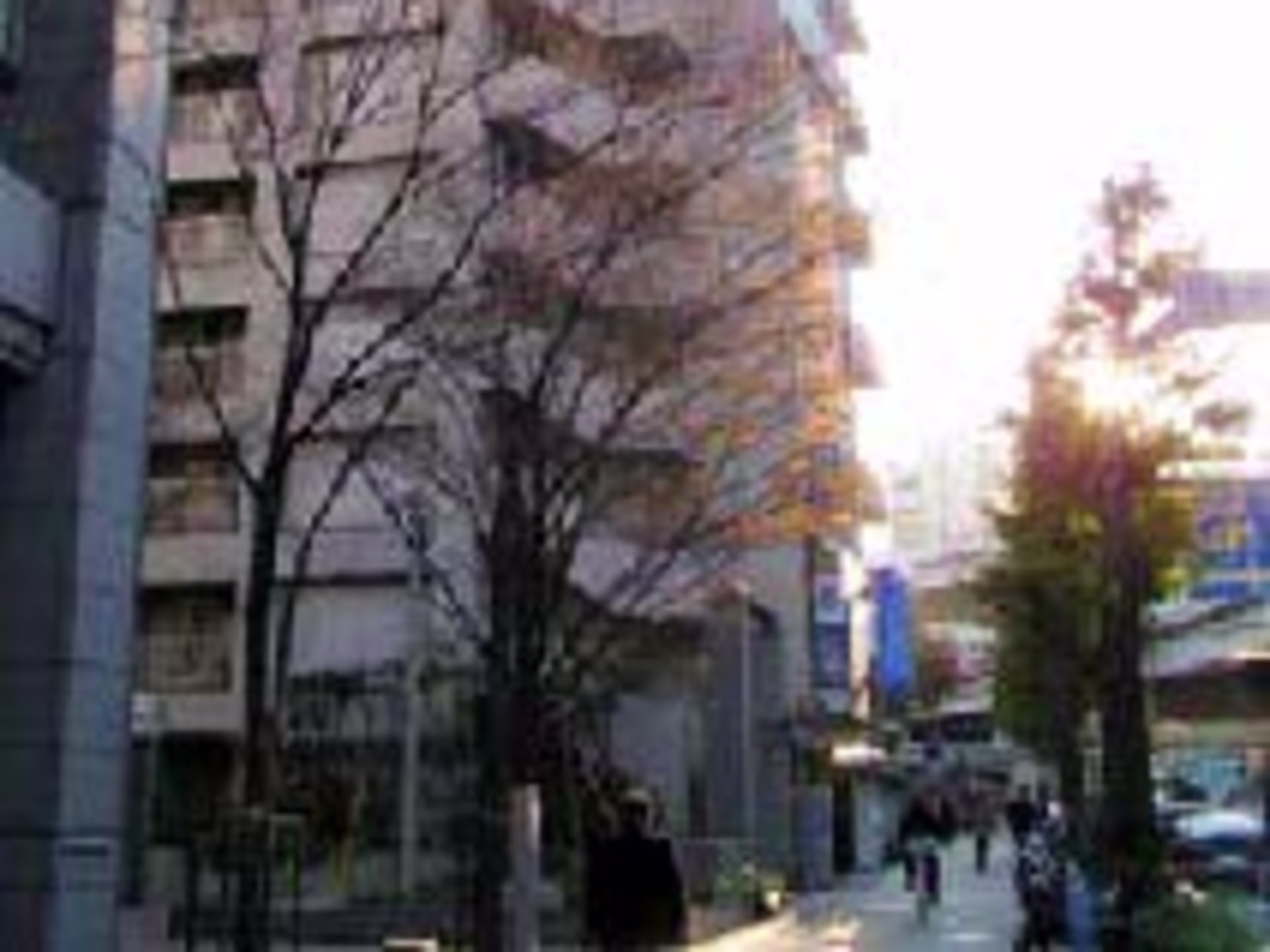 新宿カメヤビル