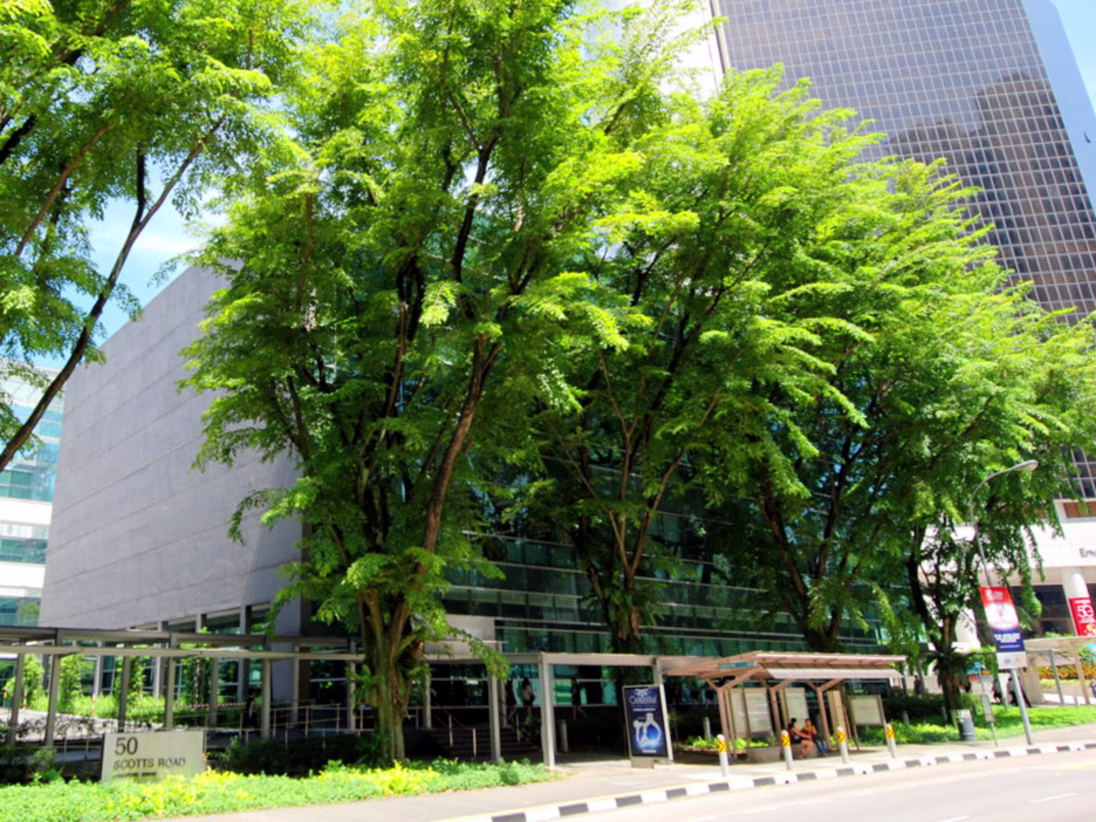 50 Scotts Road
