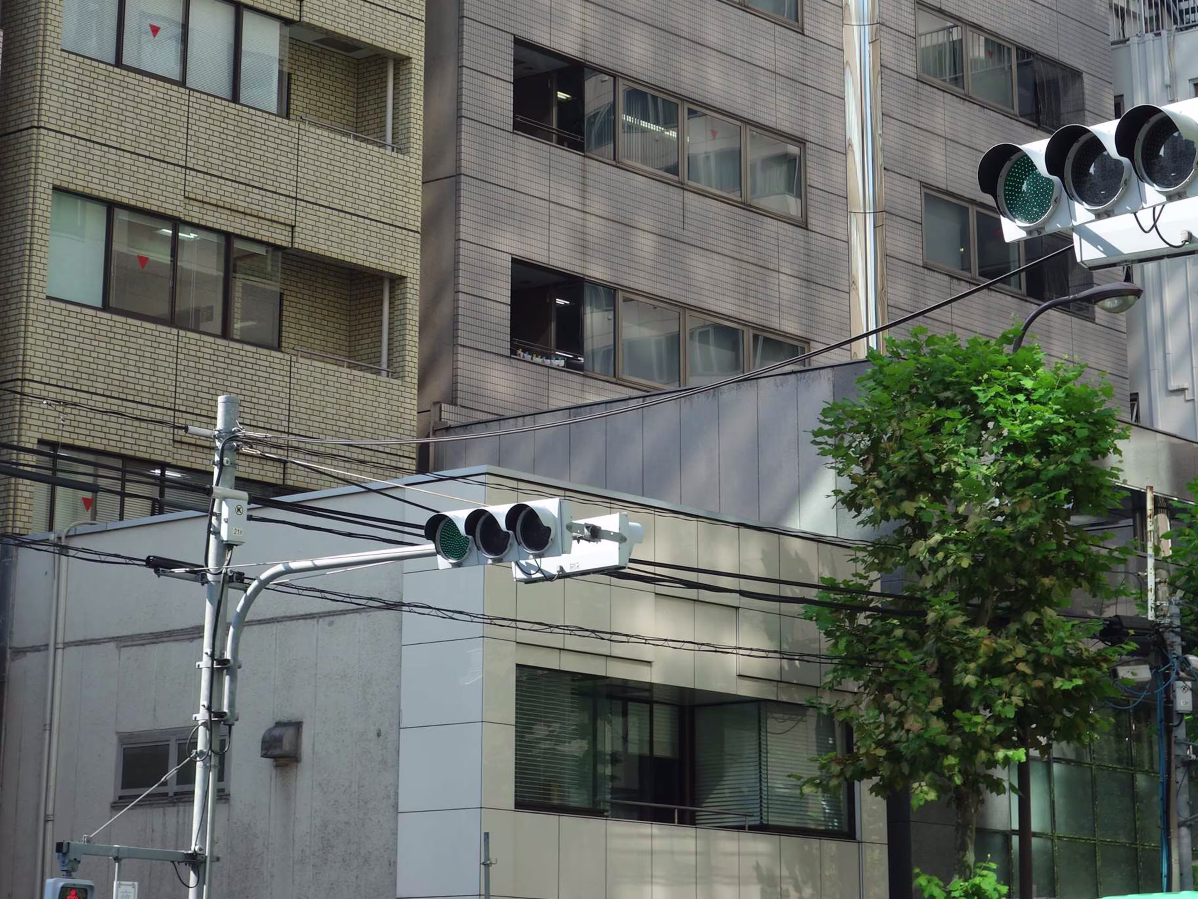 南青山Dビル