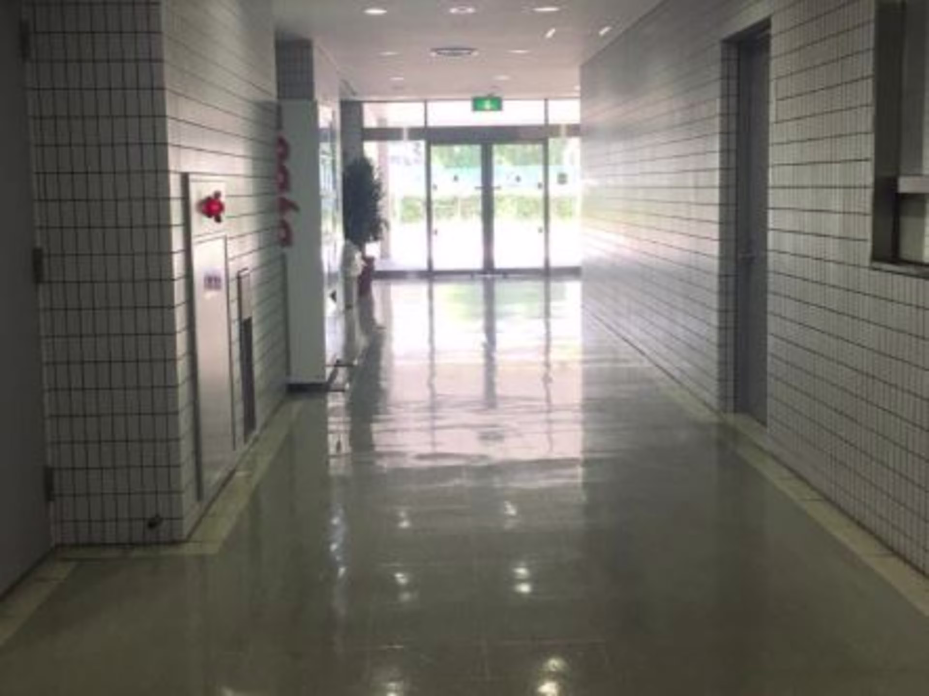 谷ビル