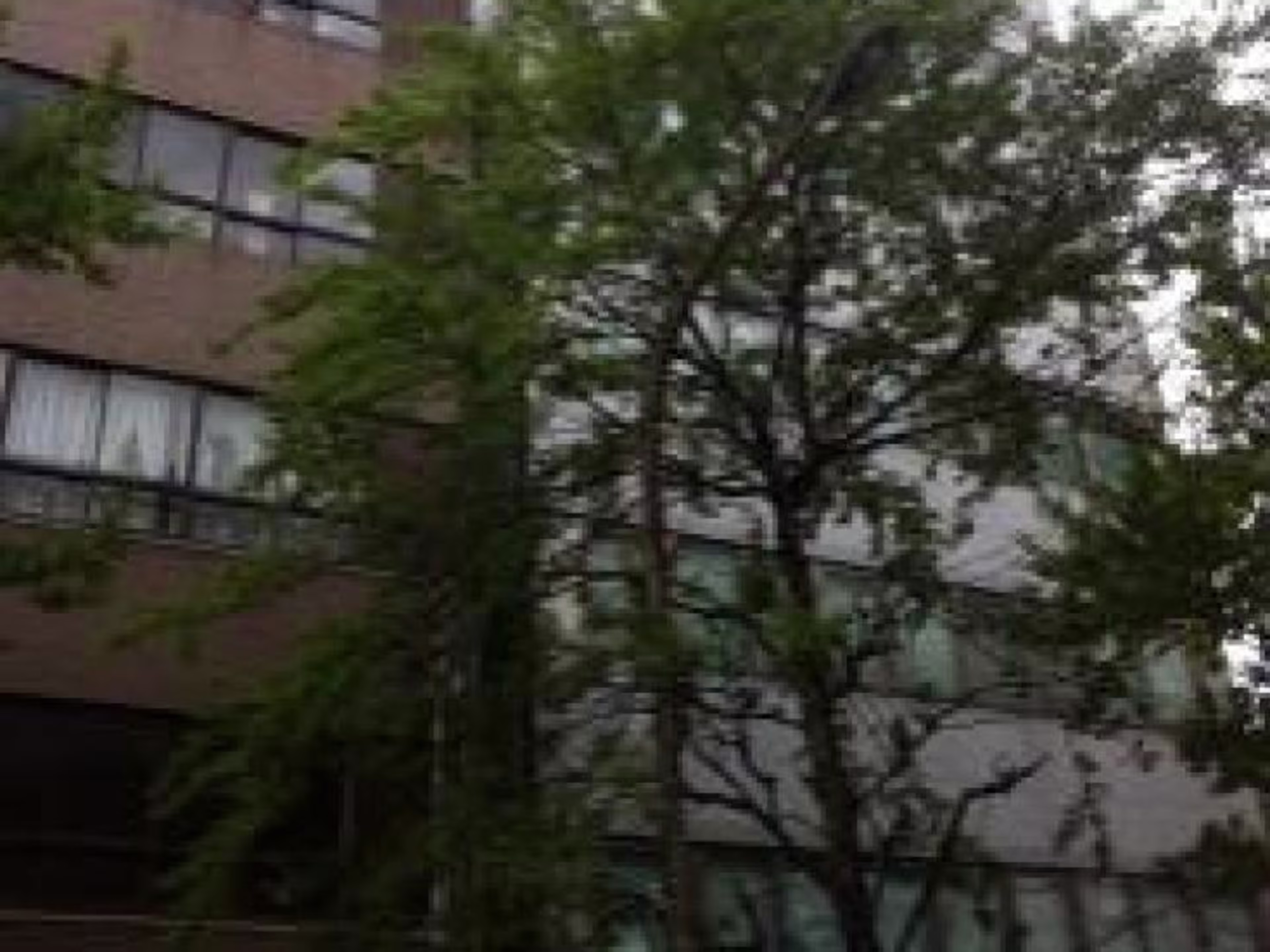 名駅ユタカビル