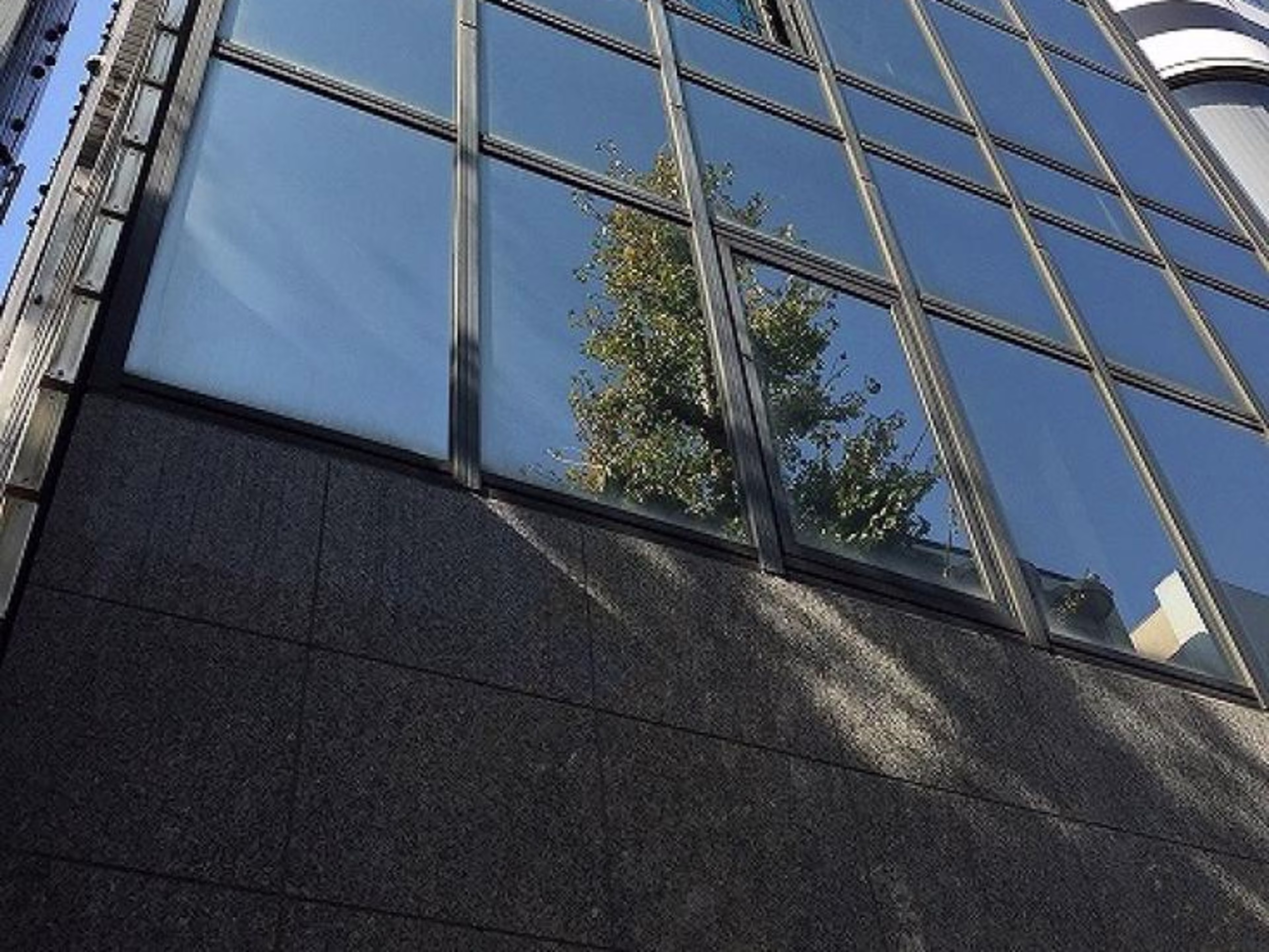 ヒットノース天神BLD