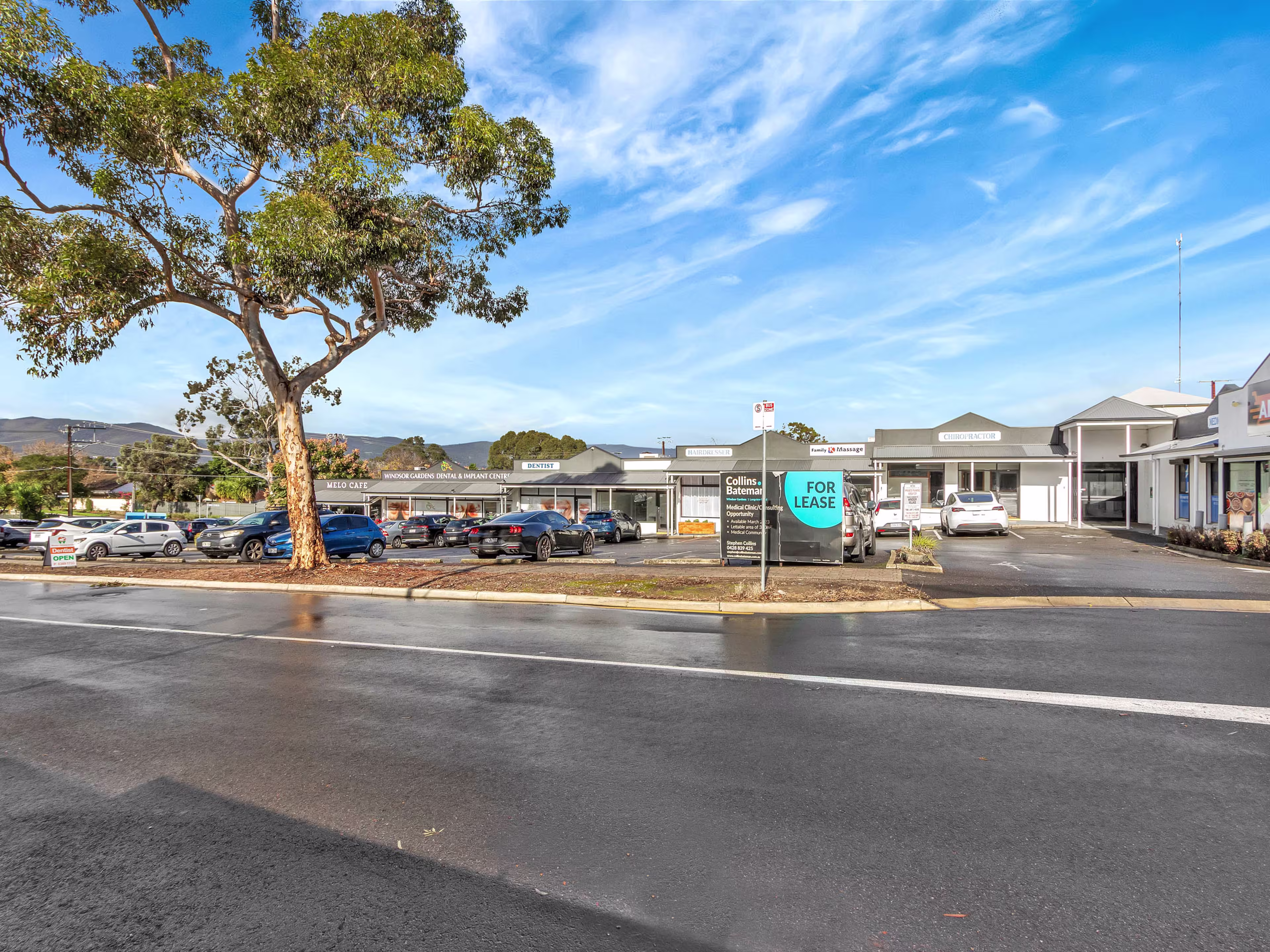 1 Longview Road Windsor Gardens