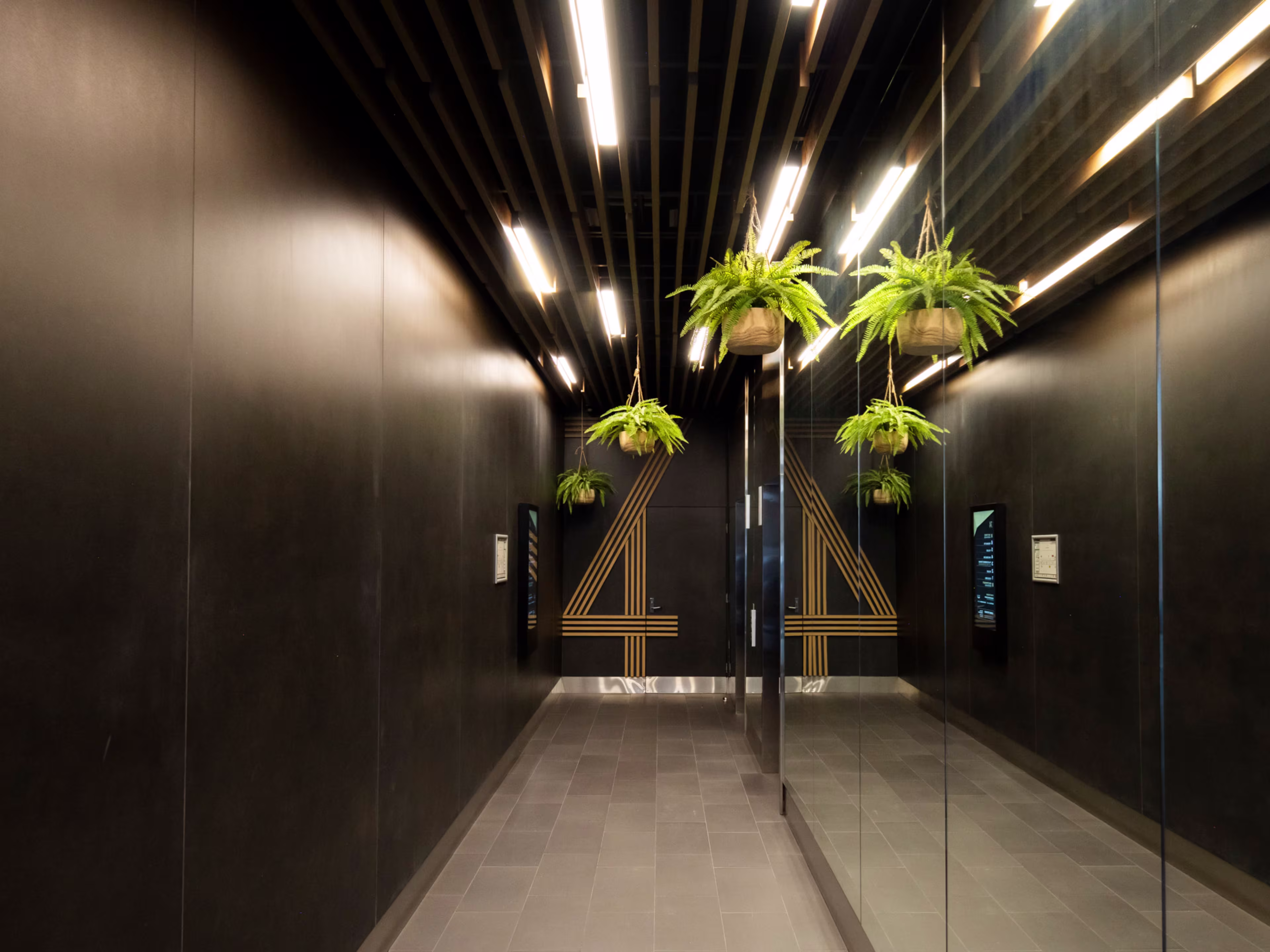 74 Pirie Street