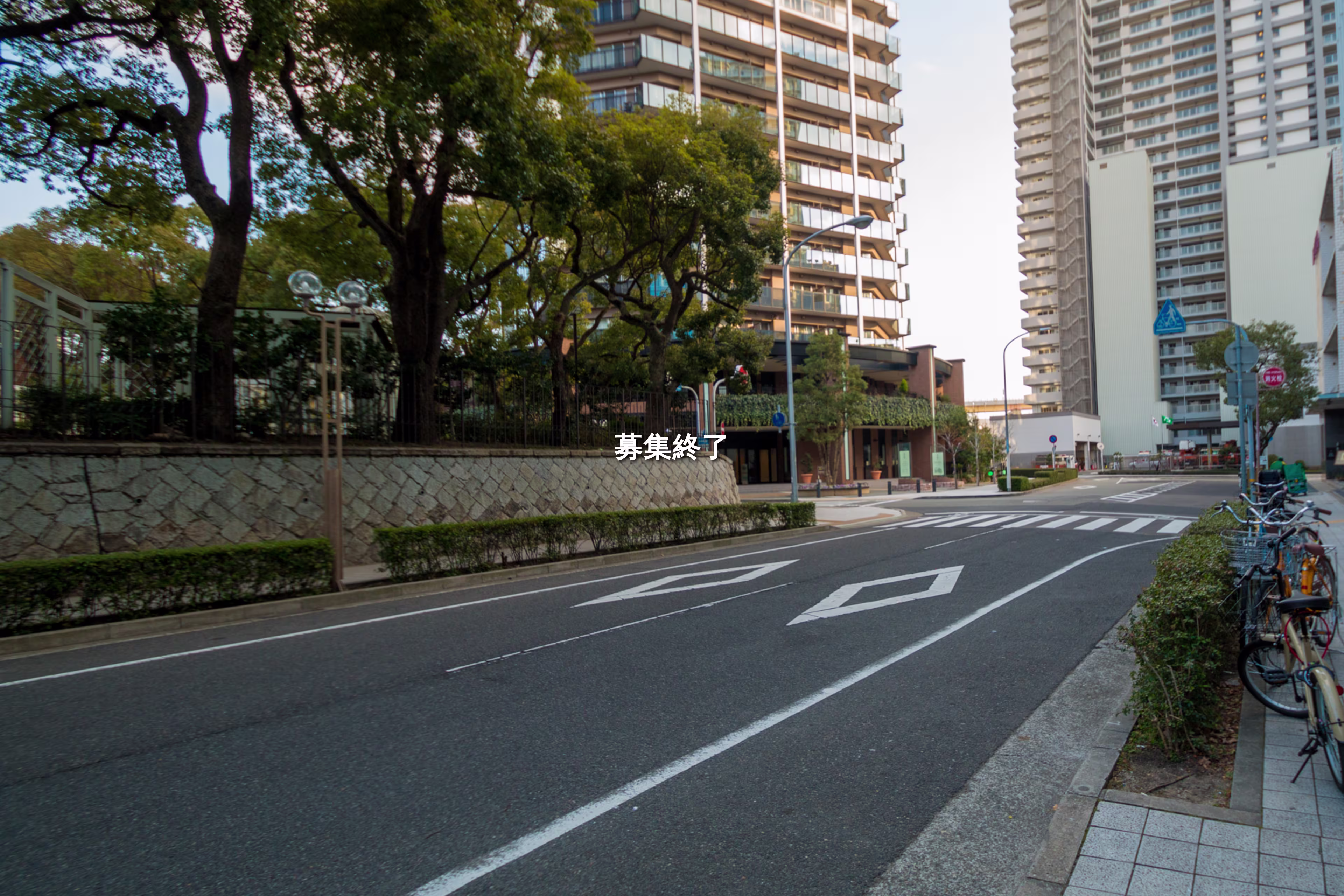 伊藤町119